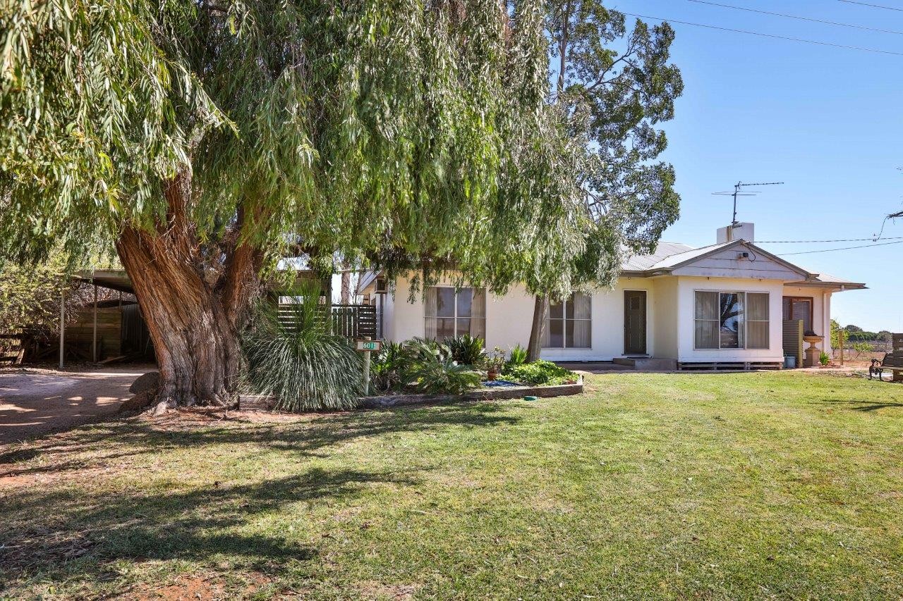 601 Irymple Avenue, Irymple, VIC 3498