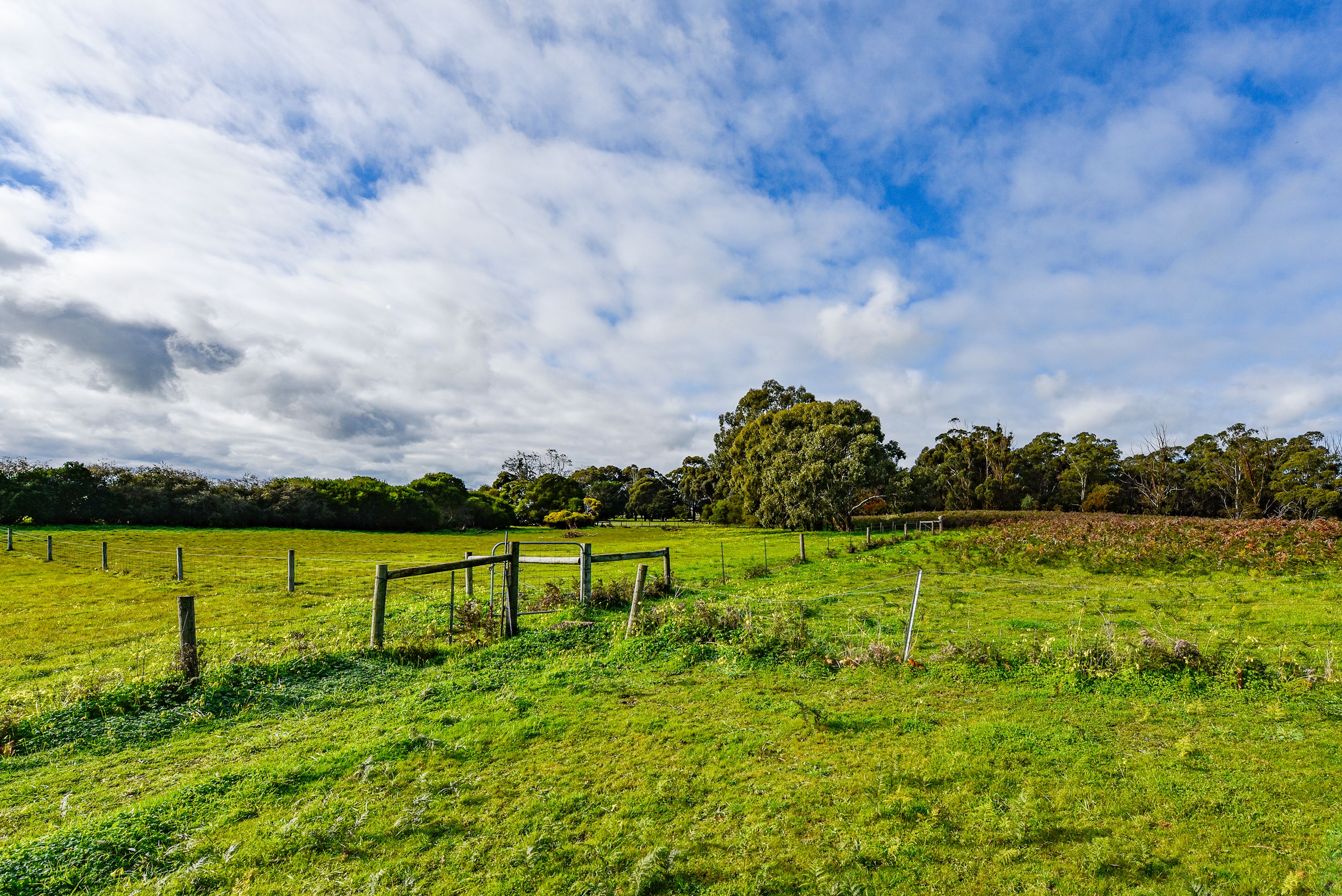 Lot 907 Skeer Road, Hatherleigh, SA 5280 Sold Land Ray White Kingston