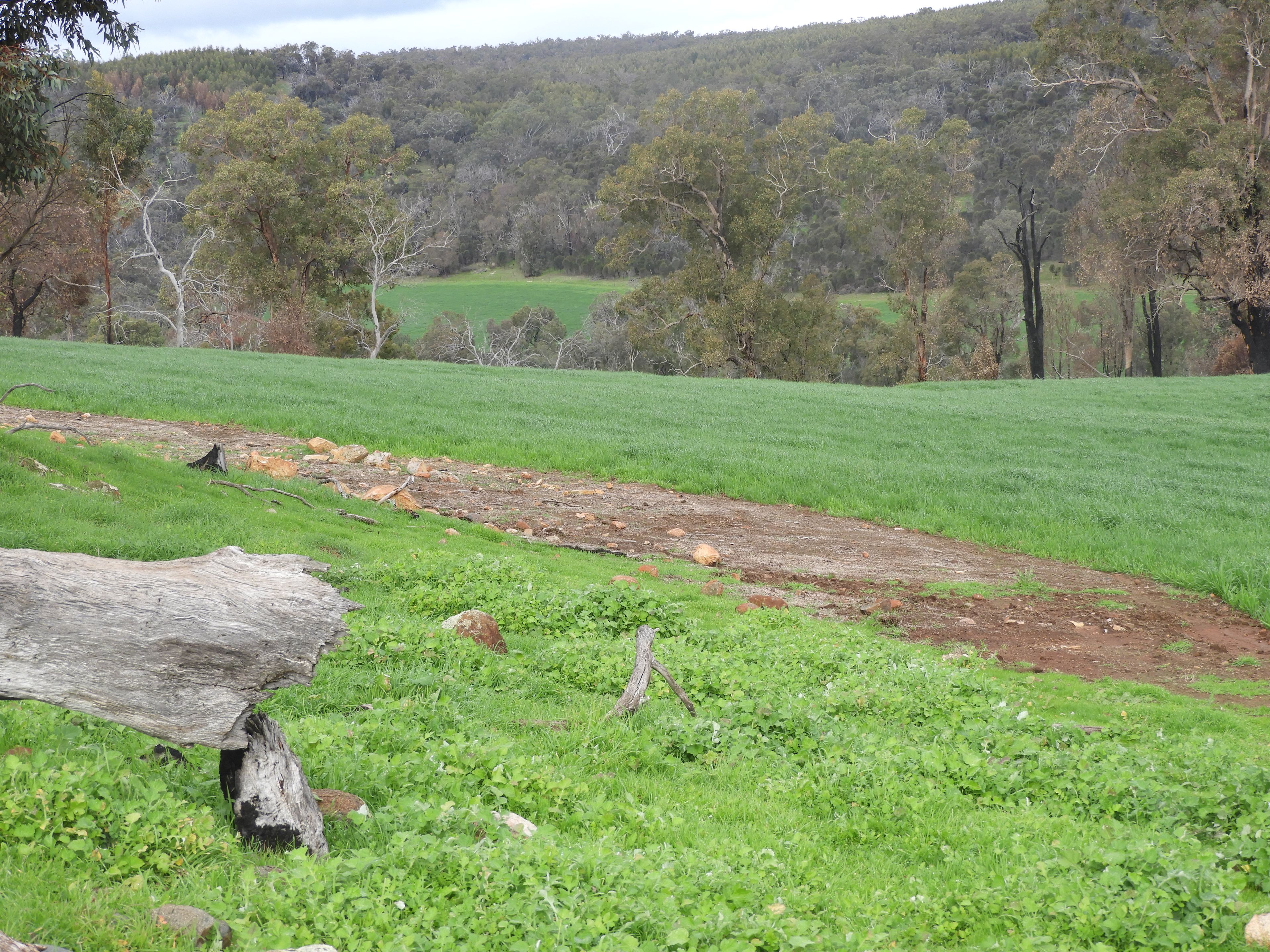 Kyellen Farm, Quindanning-Darkan Road — photo 17 of 30