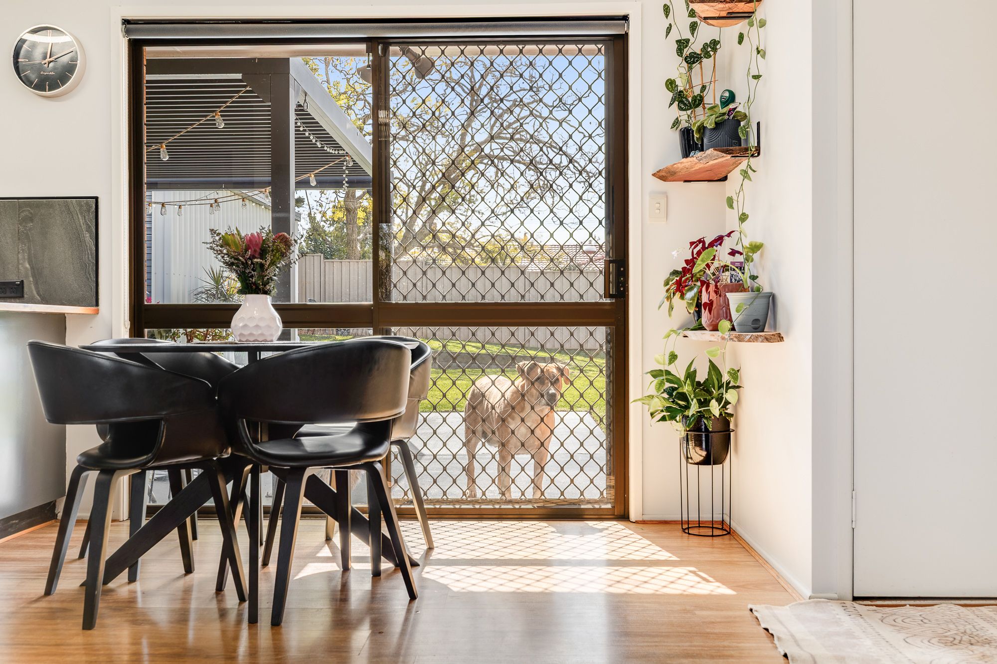 9 Dunemann Street — photo 11 of 22