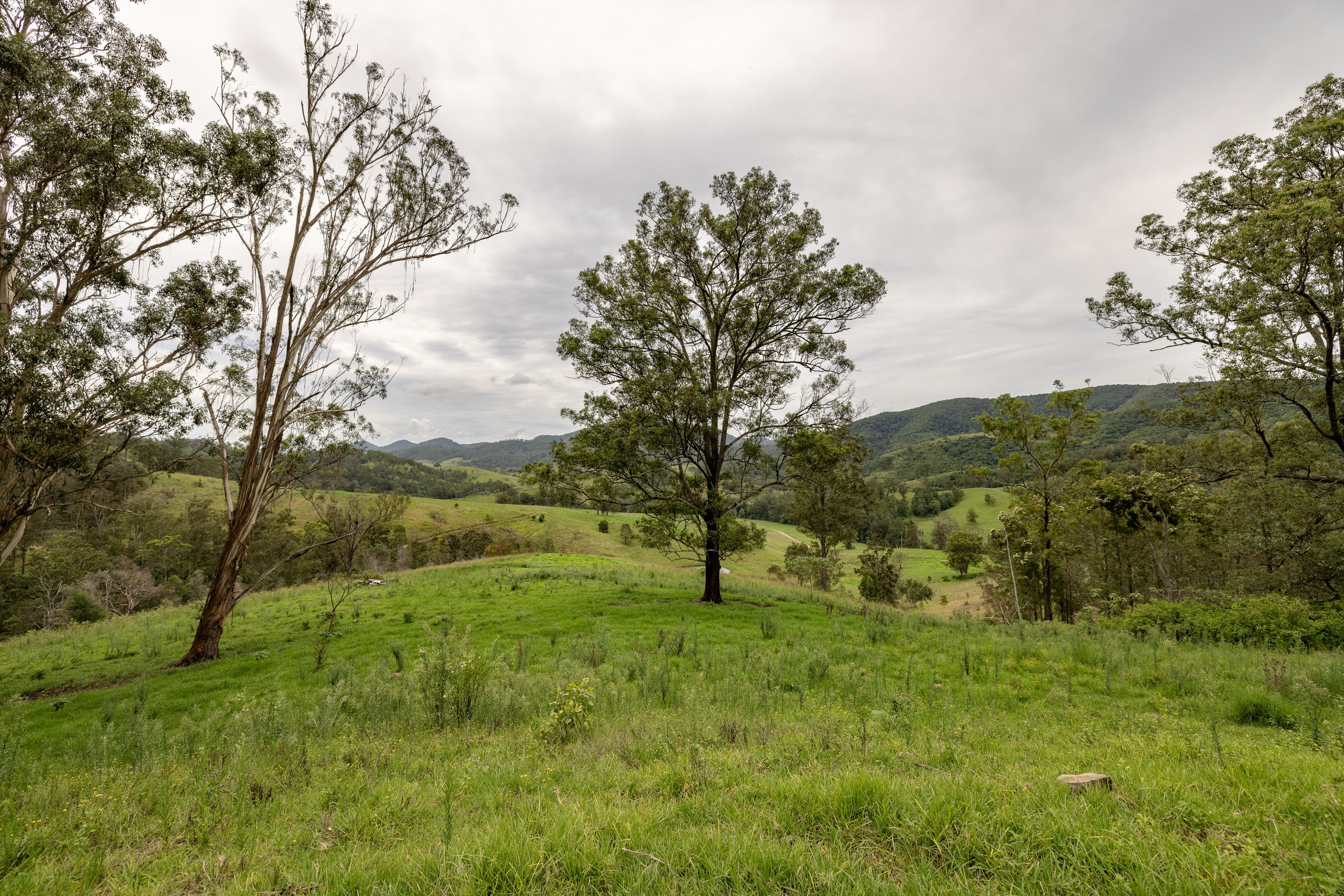 141 Khatambuhl Creek Road, Mount George, NSW 2424