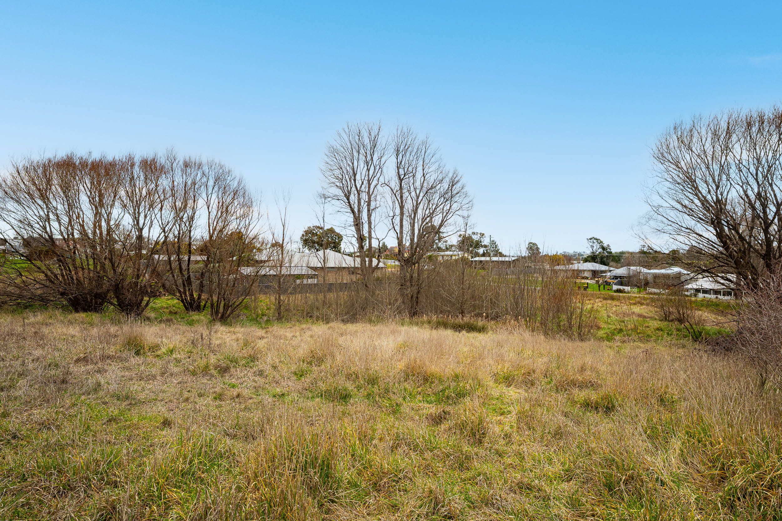 1 Wombat Street — photo 3 of 5