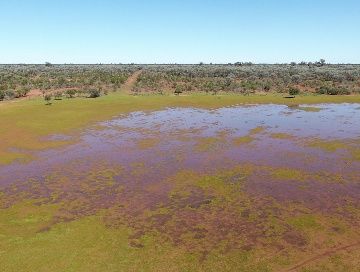 Station 872 Davidson Road, Gunderbooka, NSW 2840