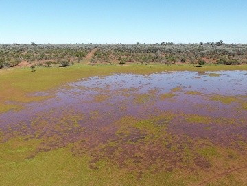 Station 872 Davidson Road, Gunderbooka, NSW 2840