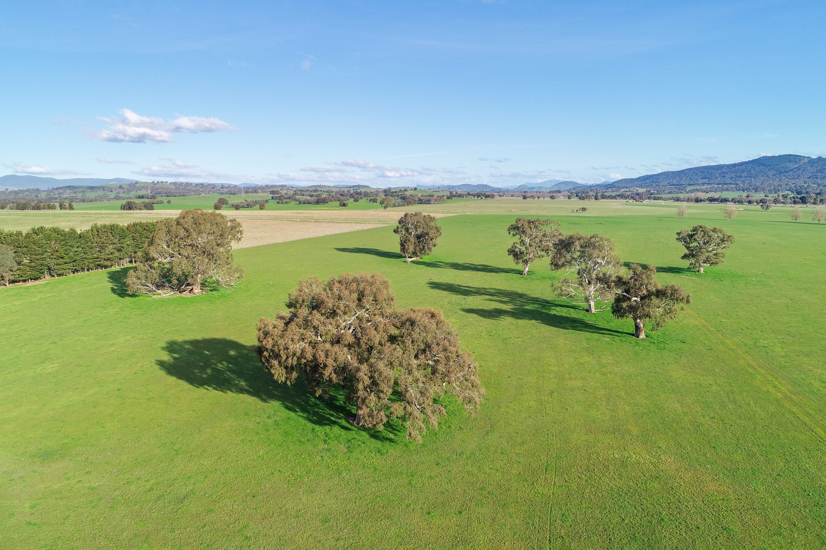 Lot 2 Mt Buller & Lot 3 Pollards, Mansfield, VIC 3722