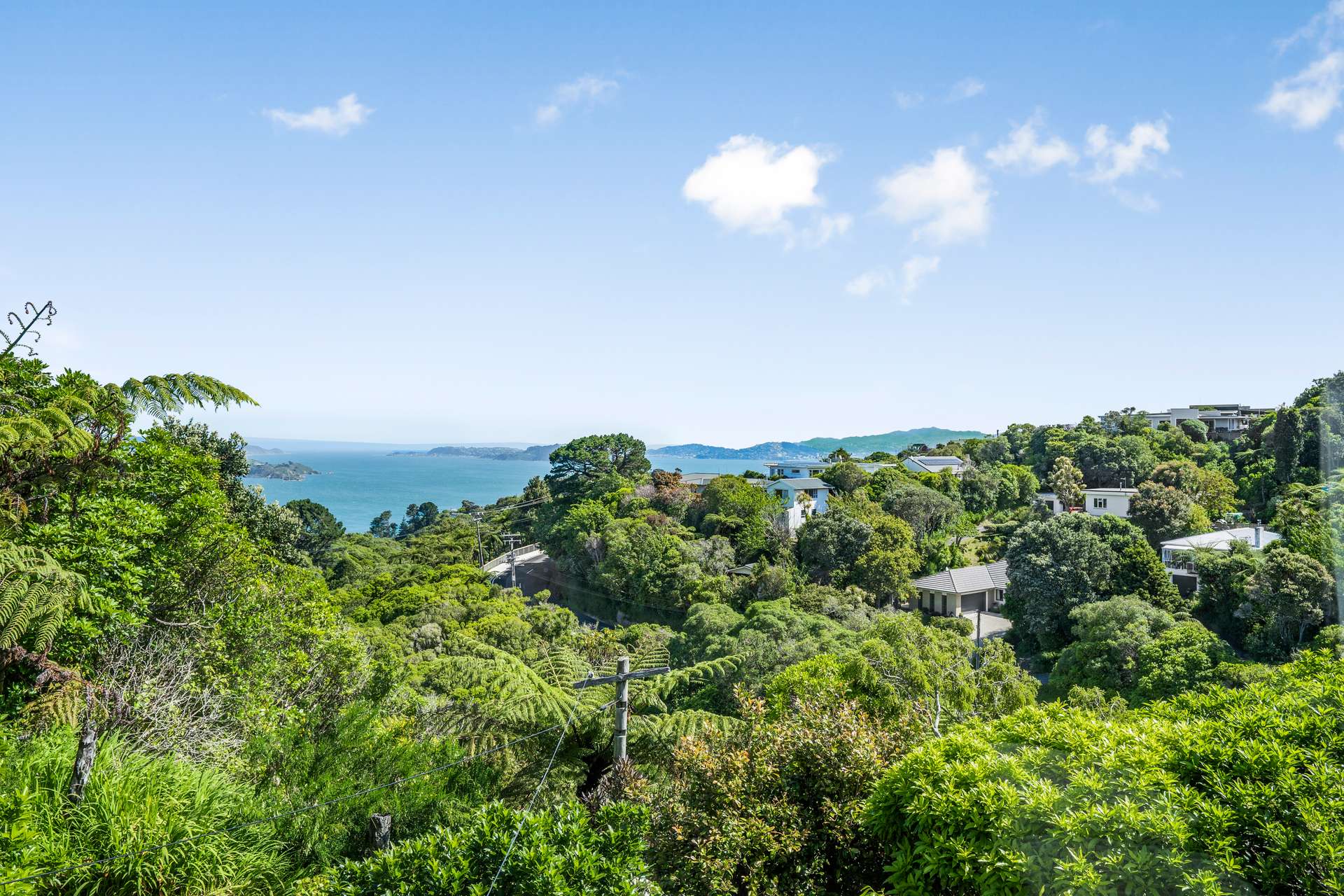 36 Akatea Road photo 24