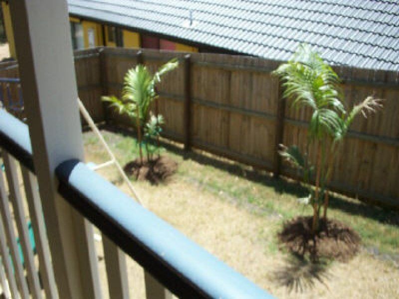 159 Lanita Road, Ferny Grove, QLD 4055