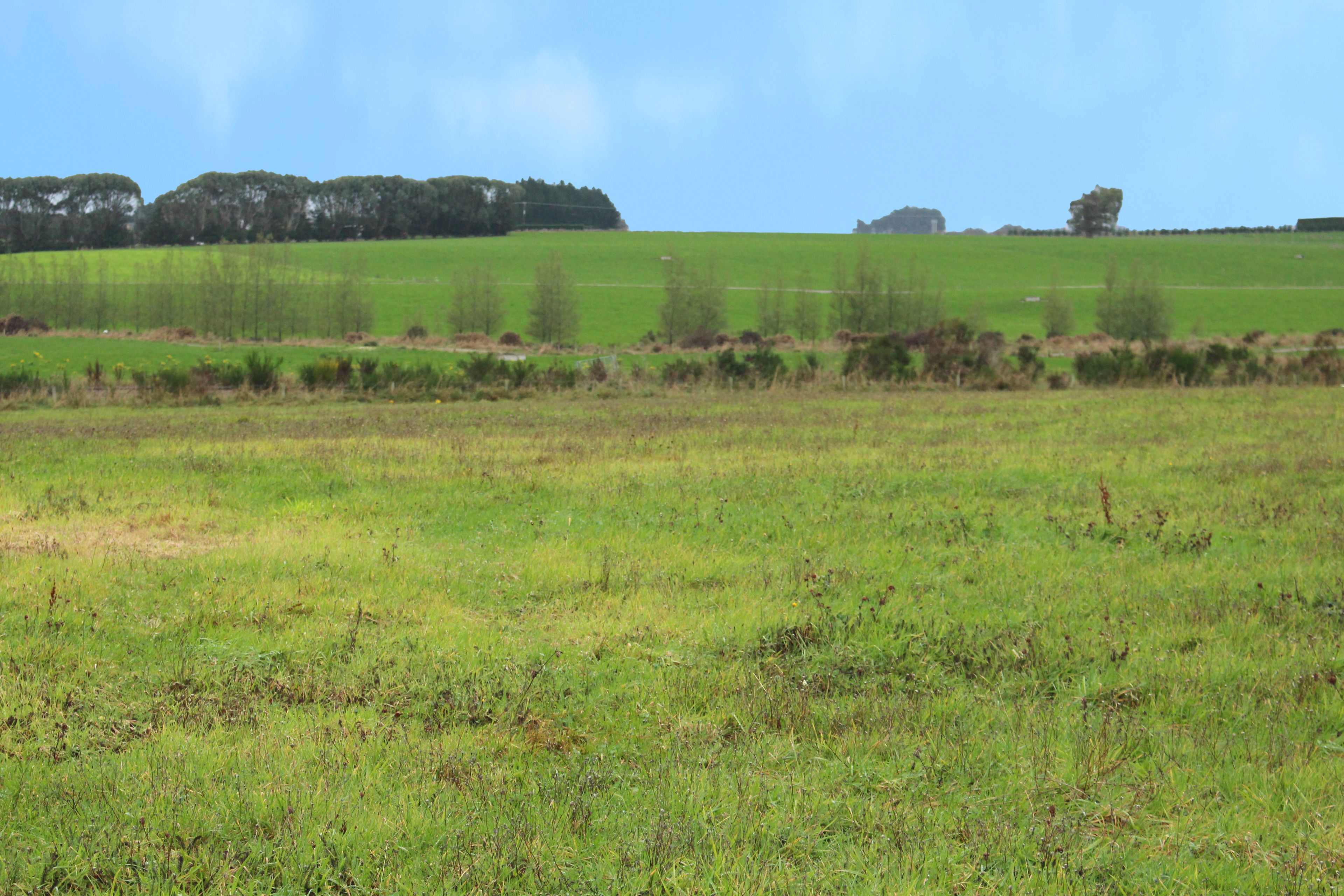 31 Woodlands Morton Mains Road, Woodlands, Southland District