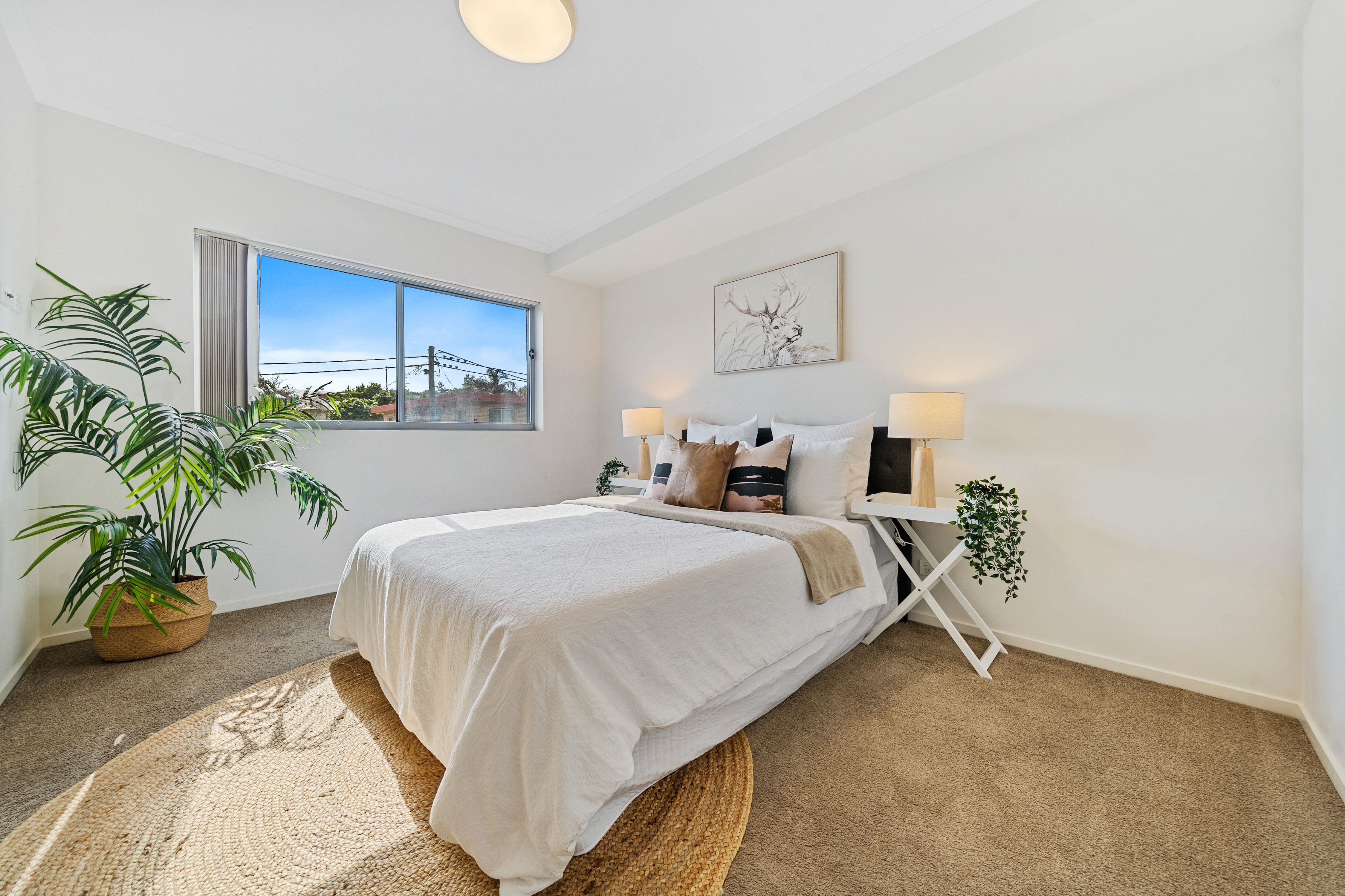 1/29-31 Selborne Street — photo 8 of 13