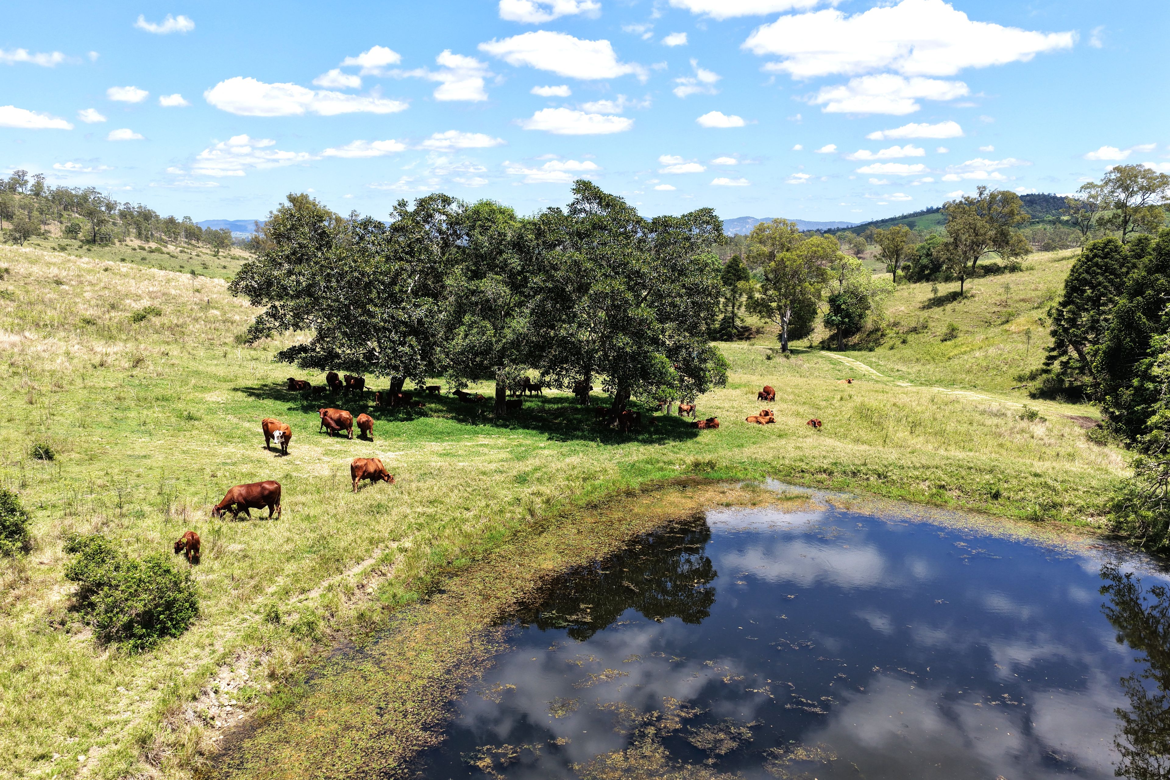 516 Scrub Creek Road, Scrub Creek, QLD 4313