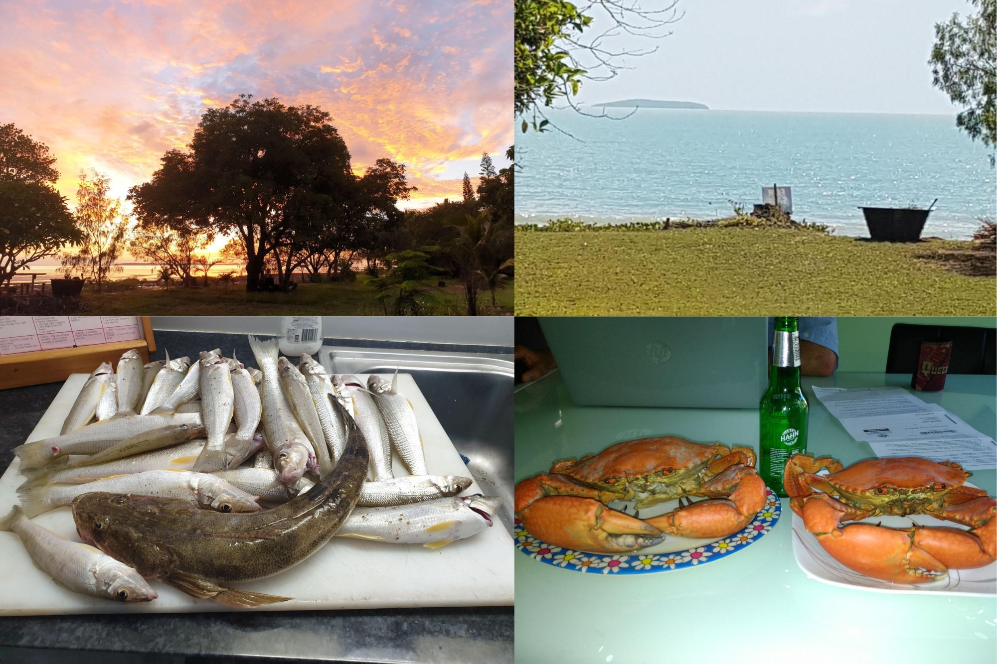 70 Colonial Drive, Clairview, QLD 4741