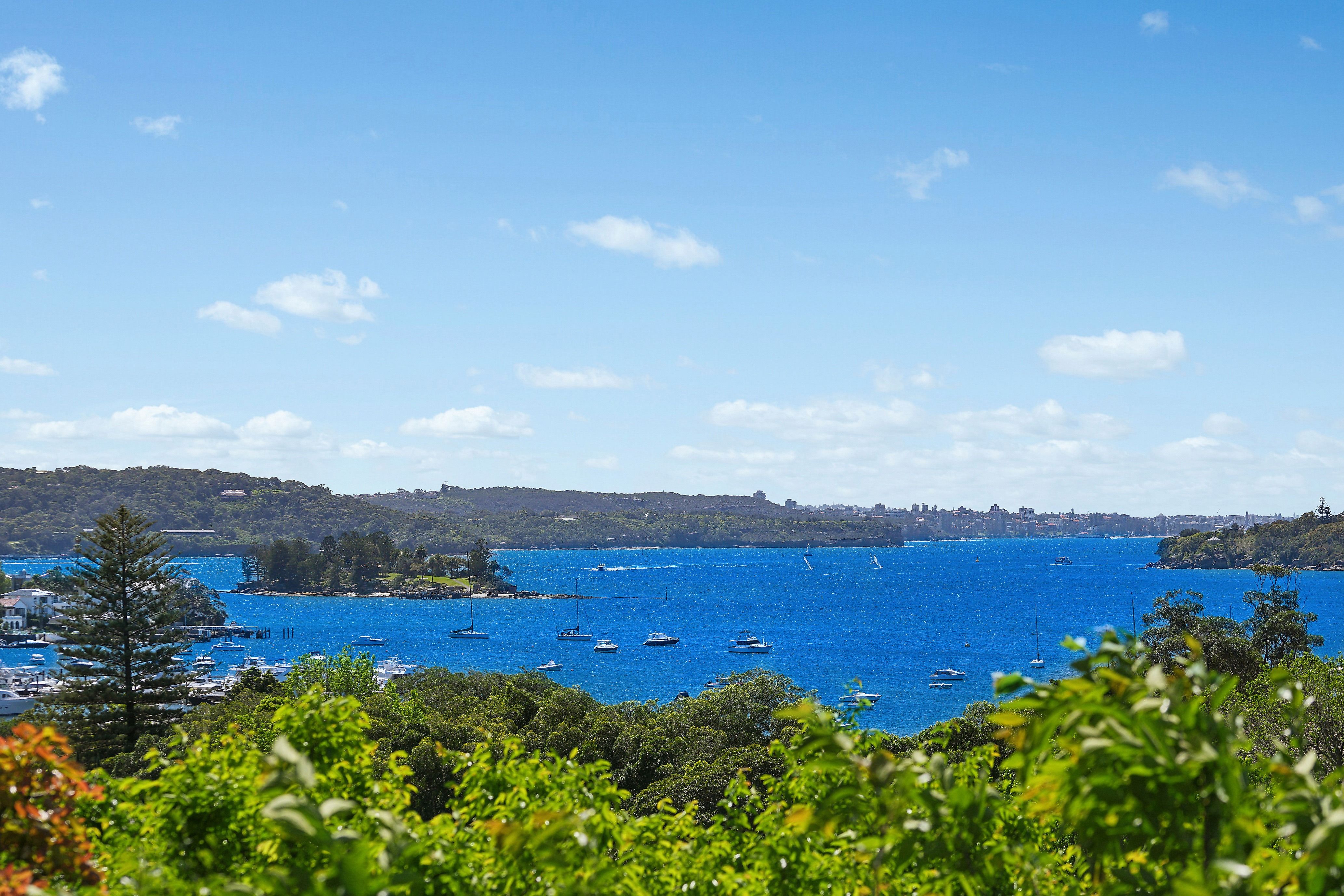 34 Cranbrook Road, Bellevue Hill, NSW 2023