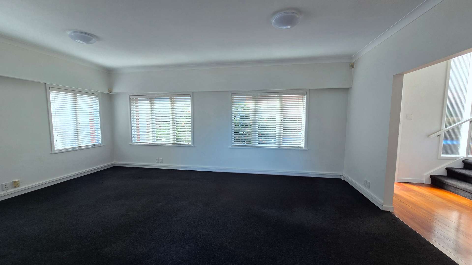 425a Dominion Road photo 5