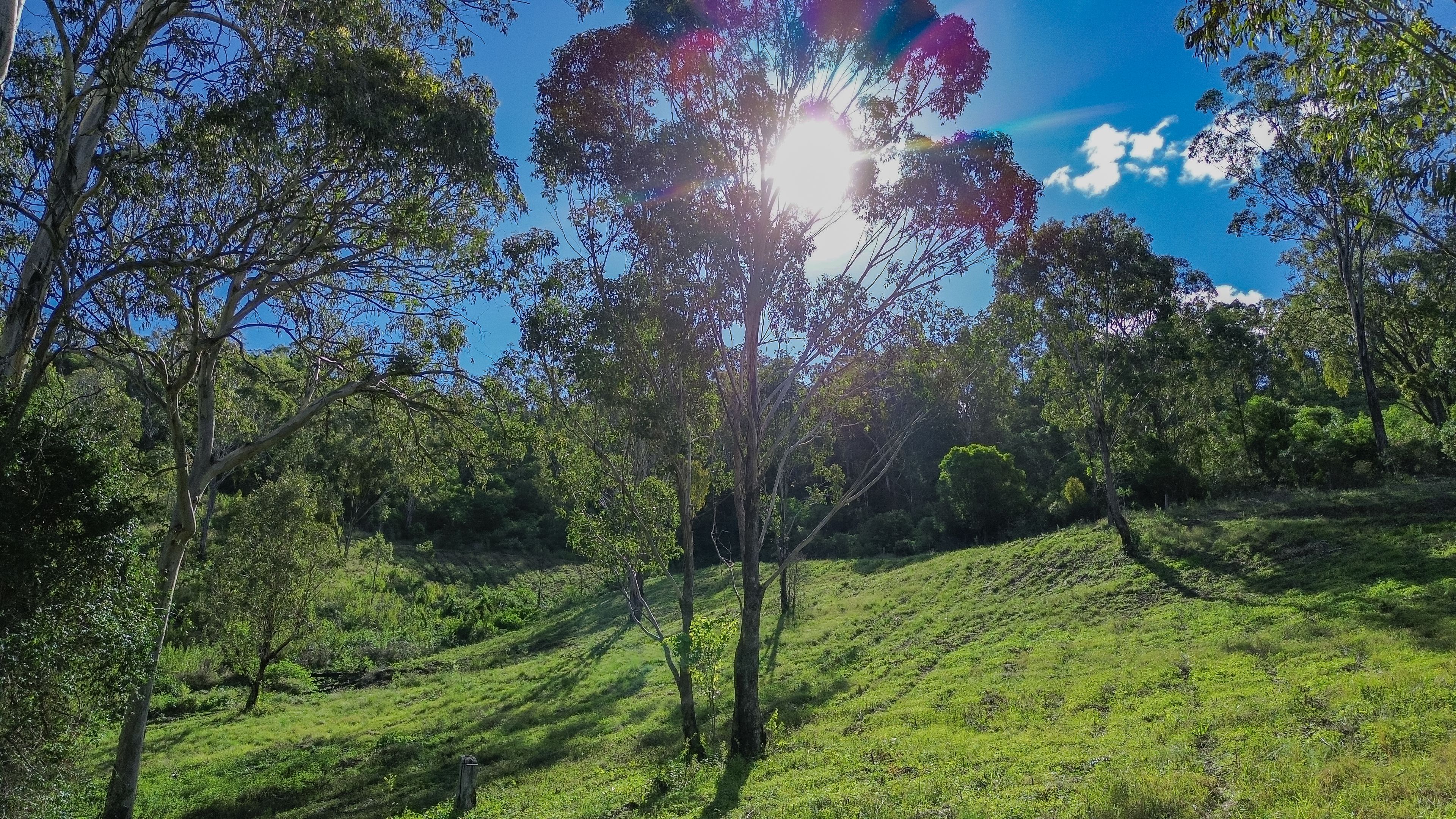 0 Unnamed Off Condamine River Road, Killarney, QLD 4373 - Sold Land ...