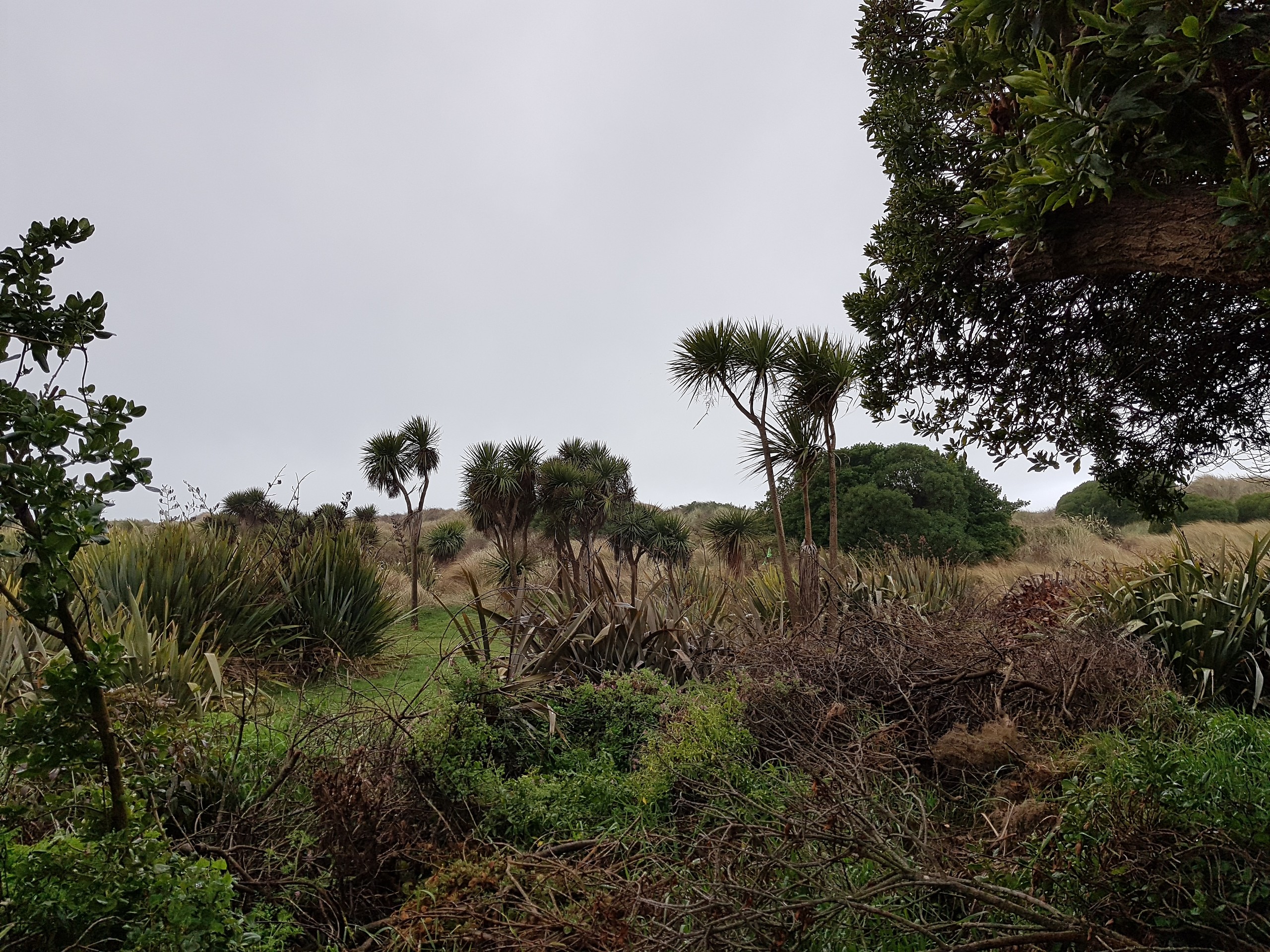 151C Rockinghorse Road, New Brighton, Christchurch City