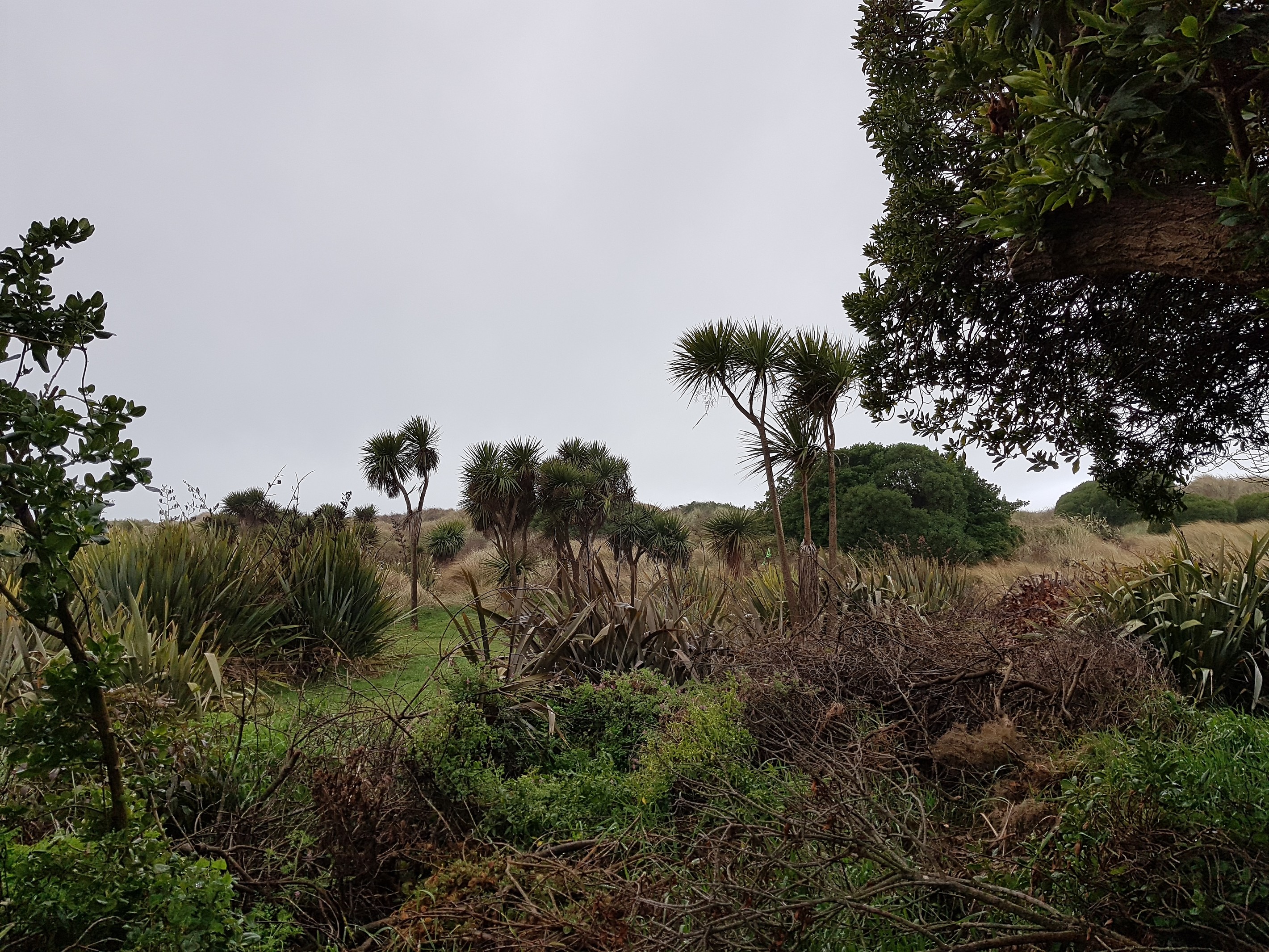 151C Rockinghorse Road, New Brighton, Christchurch City