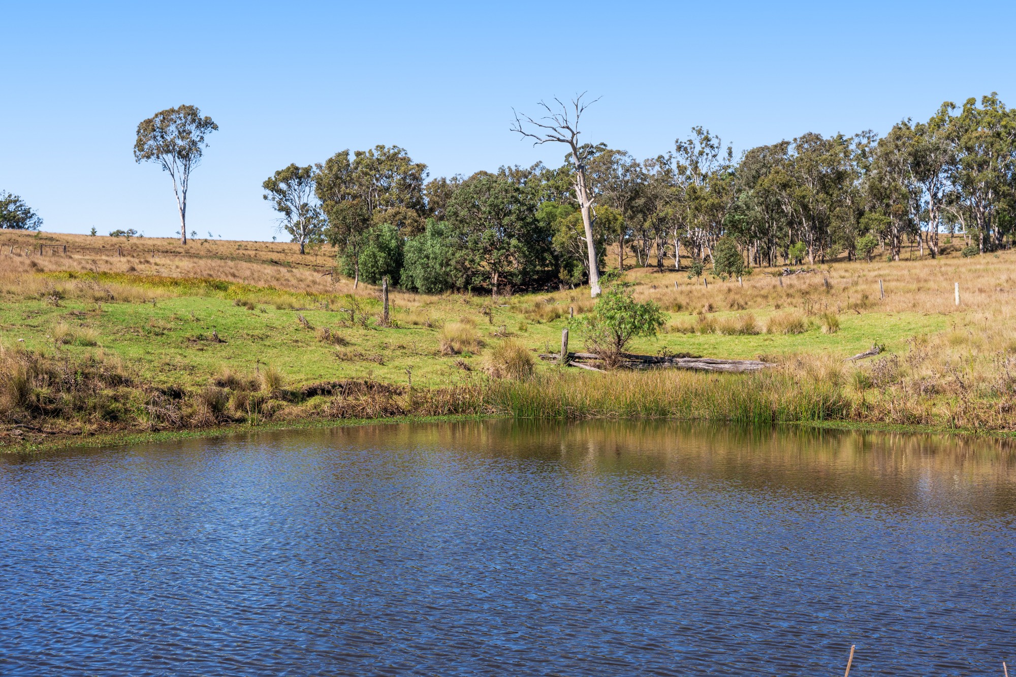Lot 96 Middle Creek - Cooyar Road, Pimpimbudgee, QLD 4615