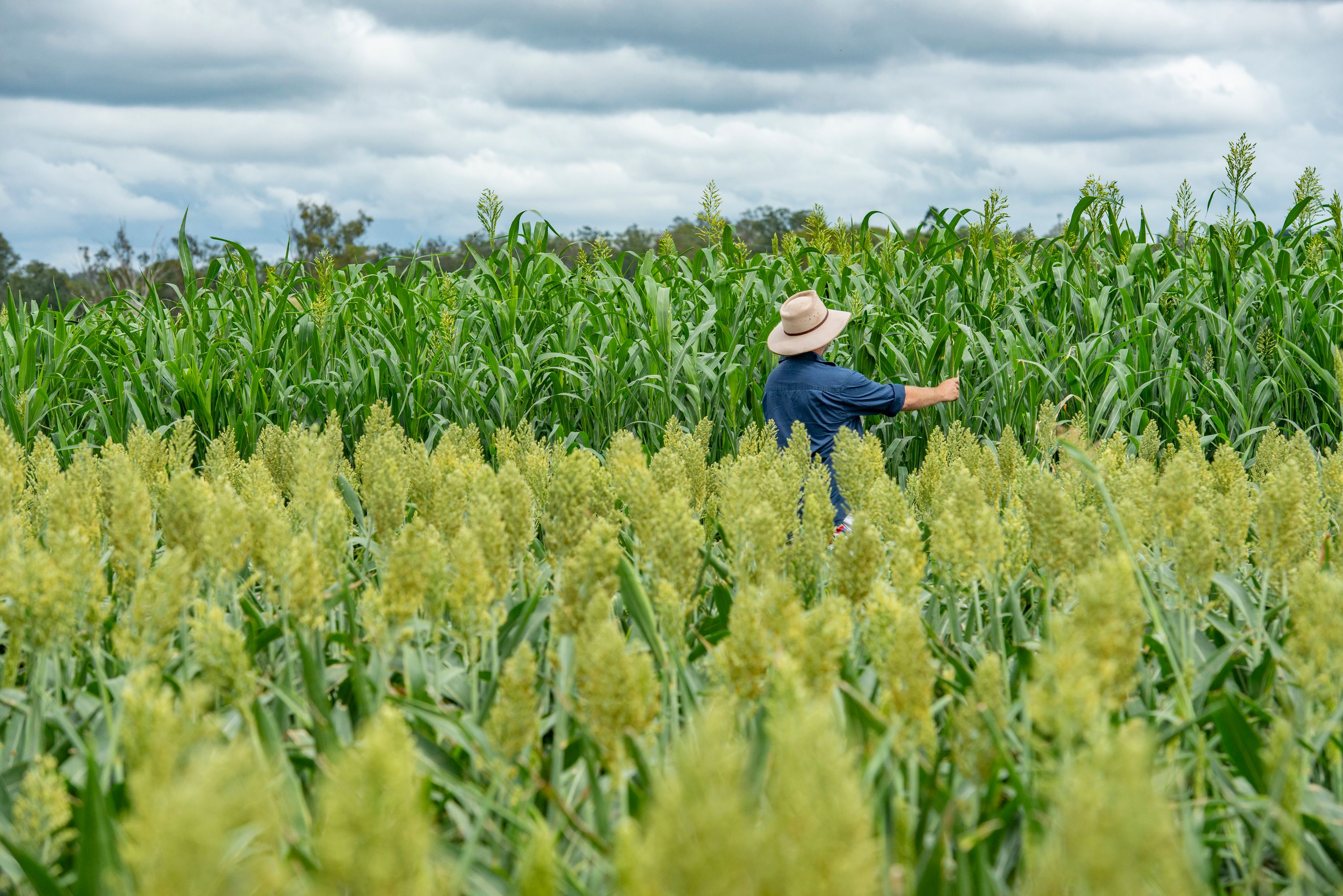 "Gills Farm" 9 11 Mulgowie Road, Laidley, QLD 4341 Sold Rural