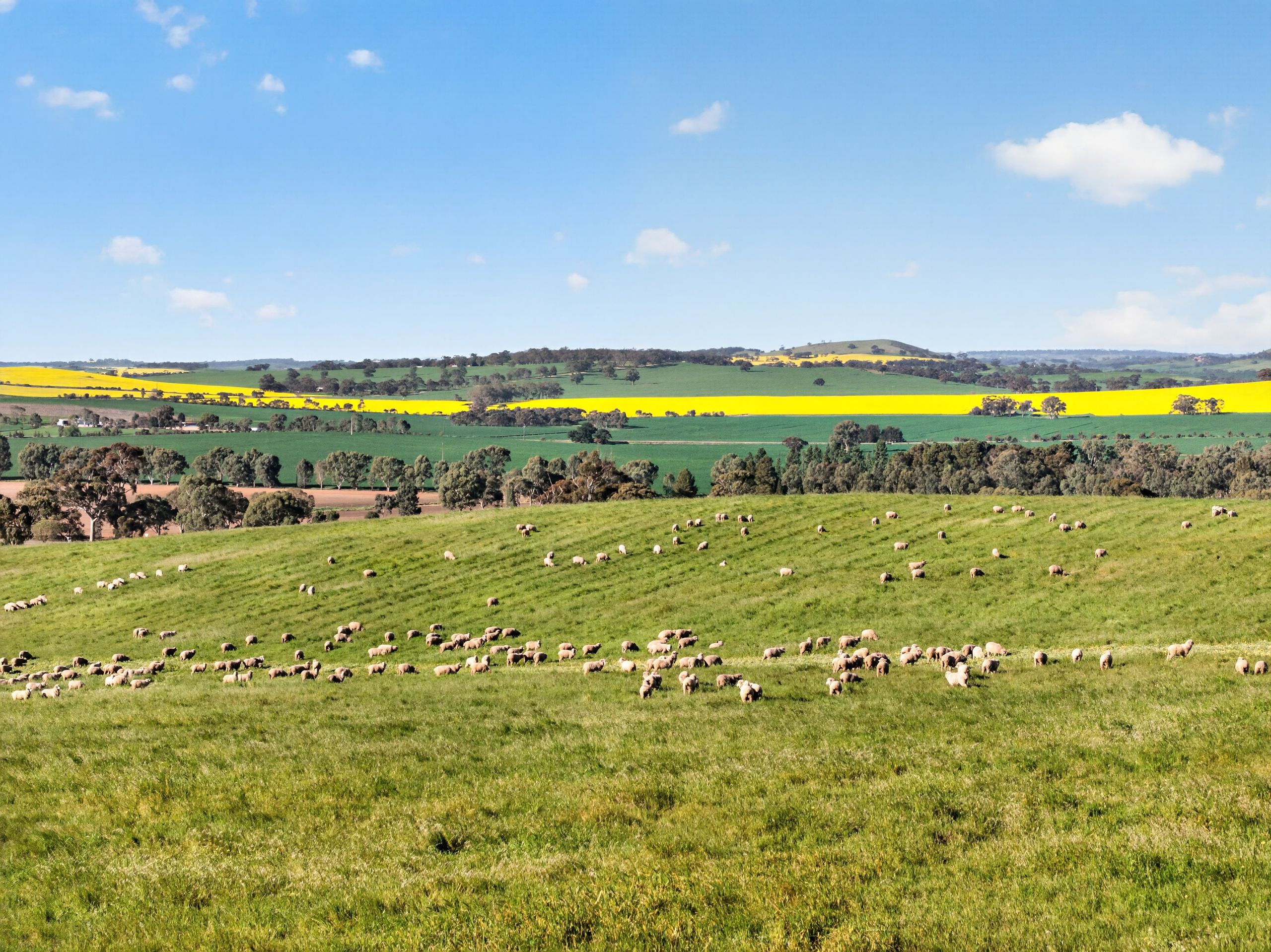'Woolshed' Kelly Road — photo 6 of 9