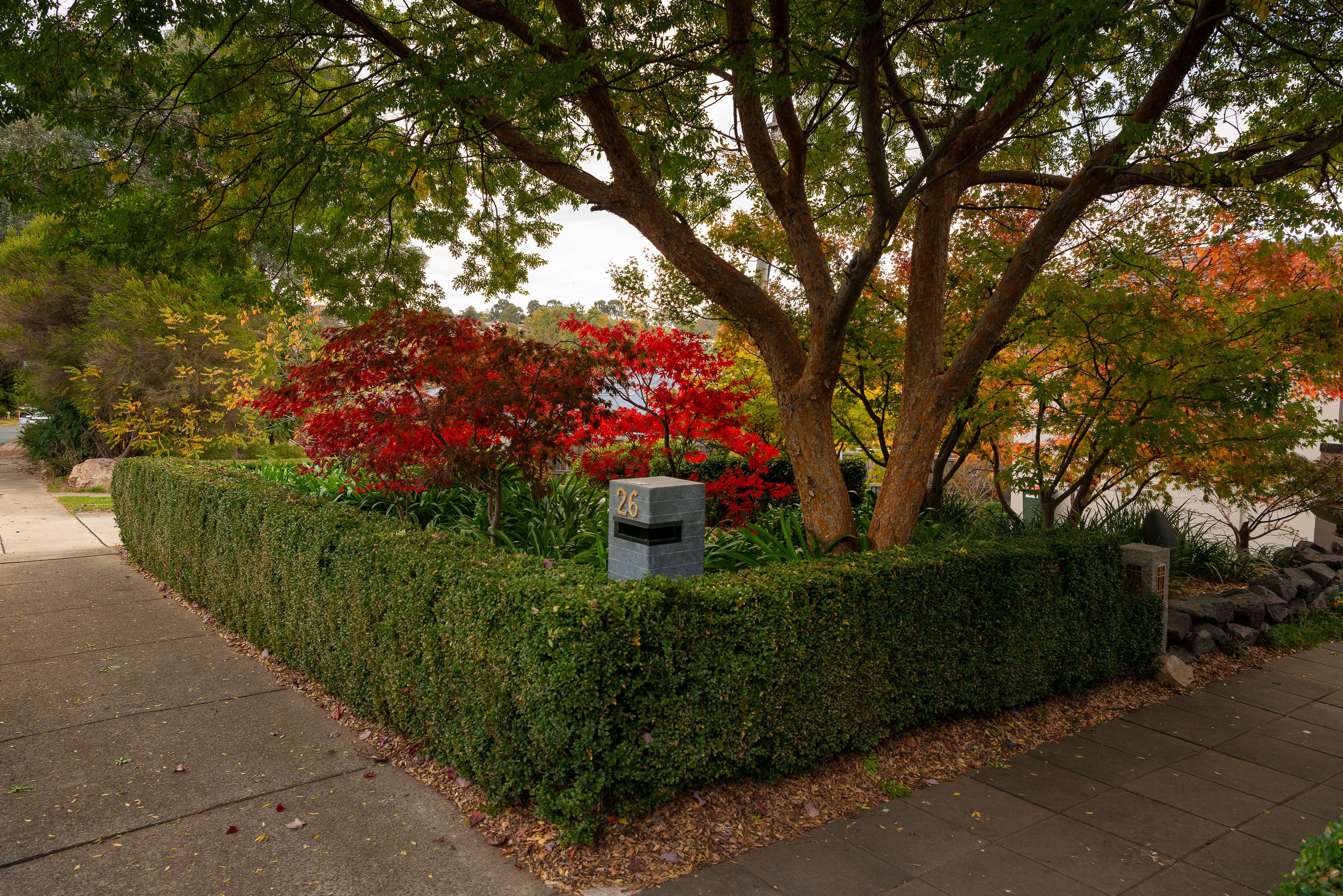 26 Spafford Crescent, Farrer, ACT 2607