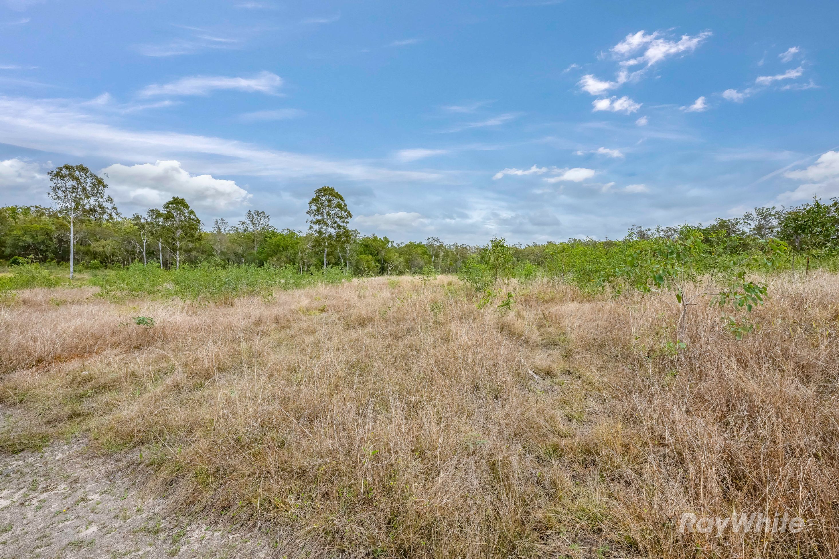 Lot 41 Moolyung Road — photo 9 of 30