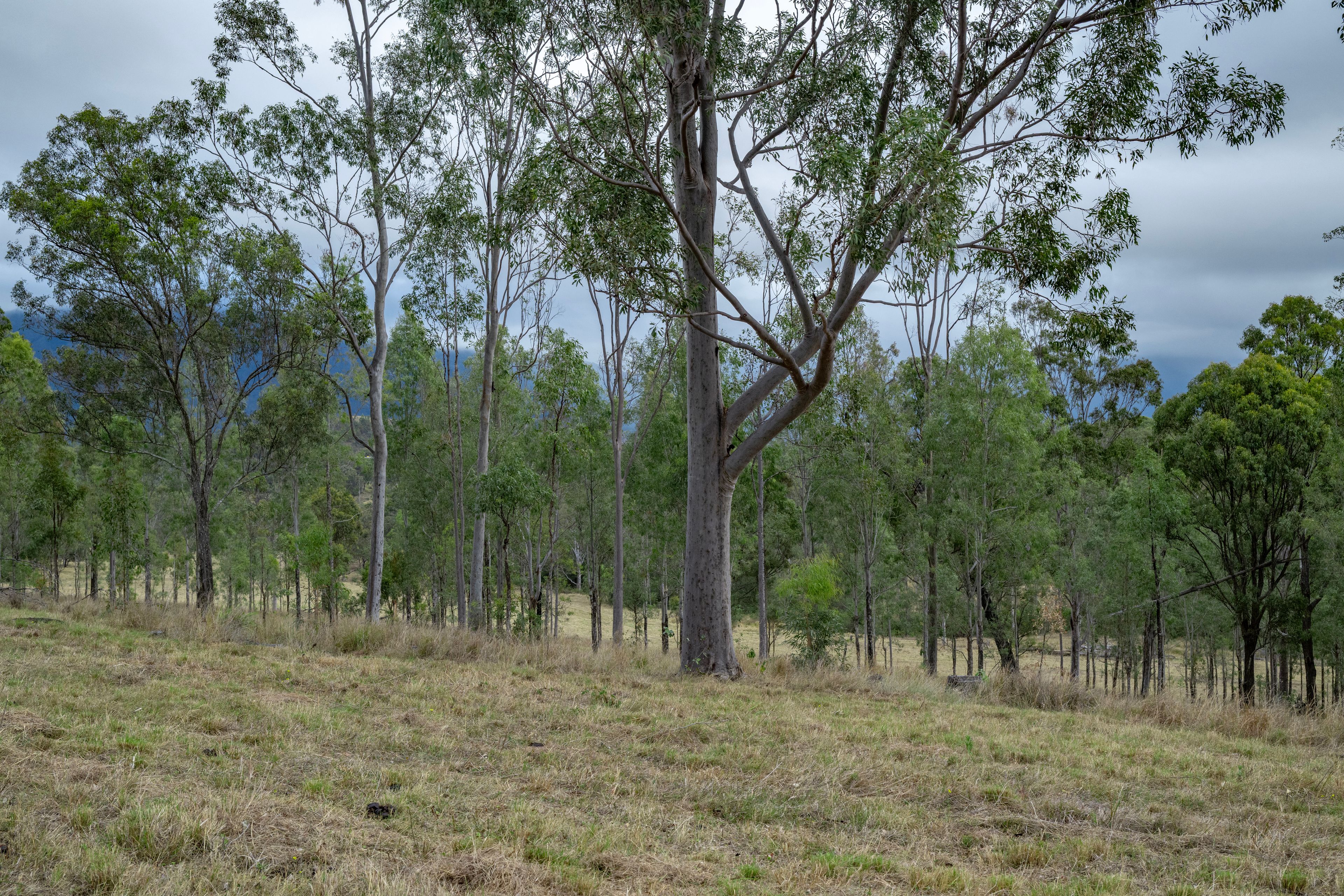 0 Cunningham Highway — photo 9 of 22