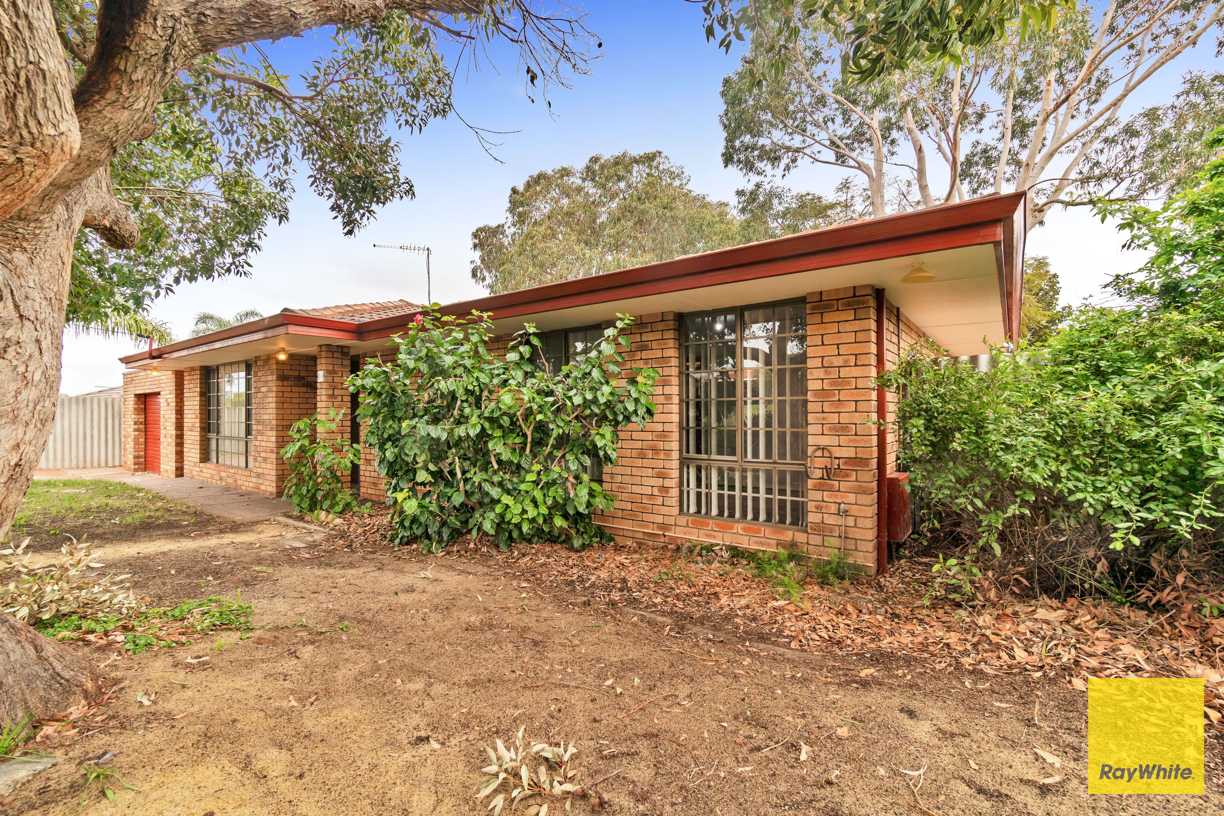 50 Burgland Drive, Girrawheen, WA 6064