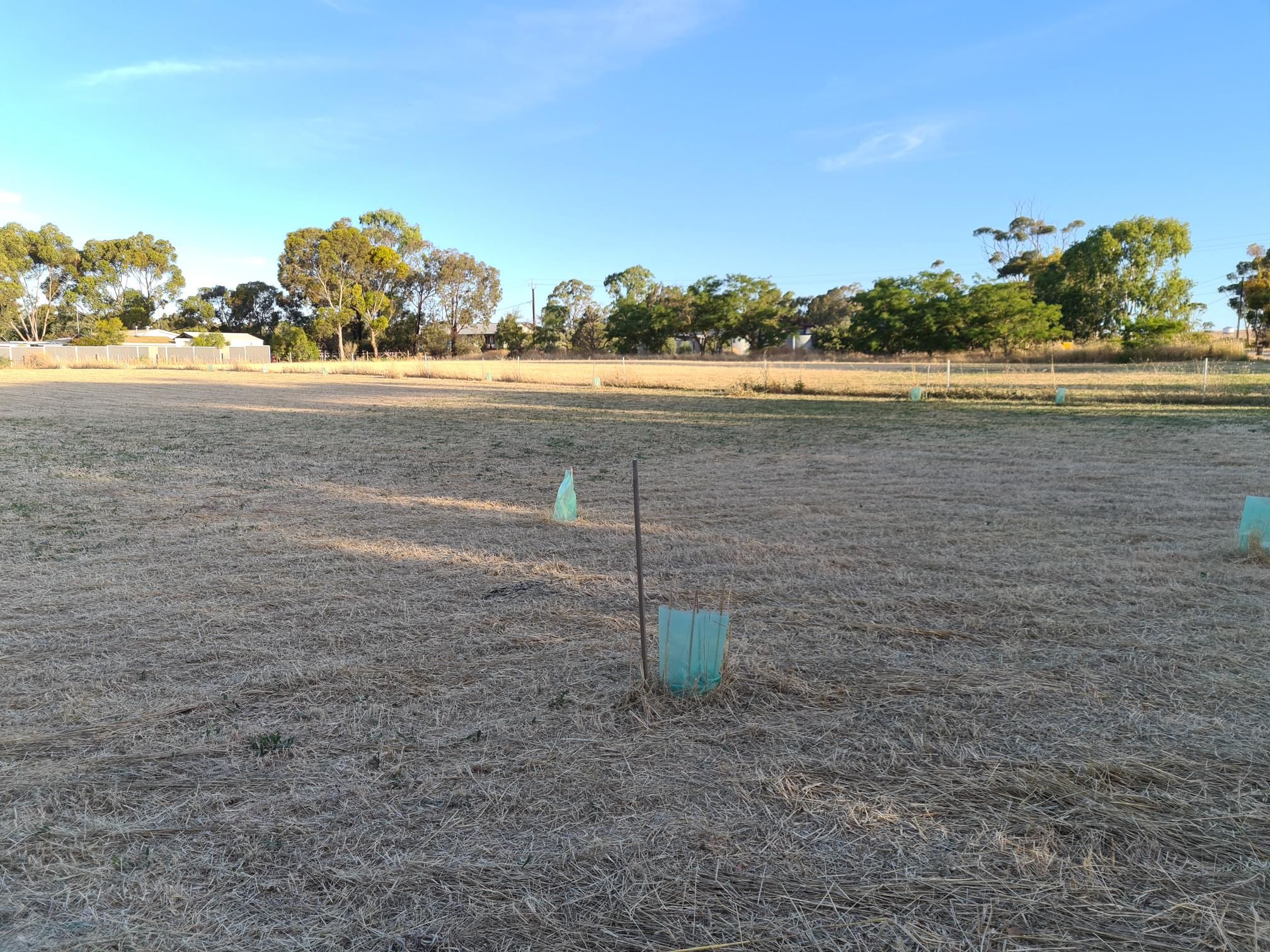 123 Saddleworth Road, Auburn, SA 5451