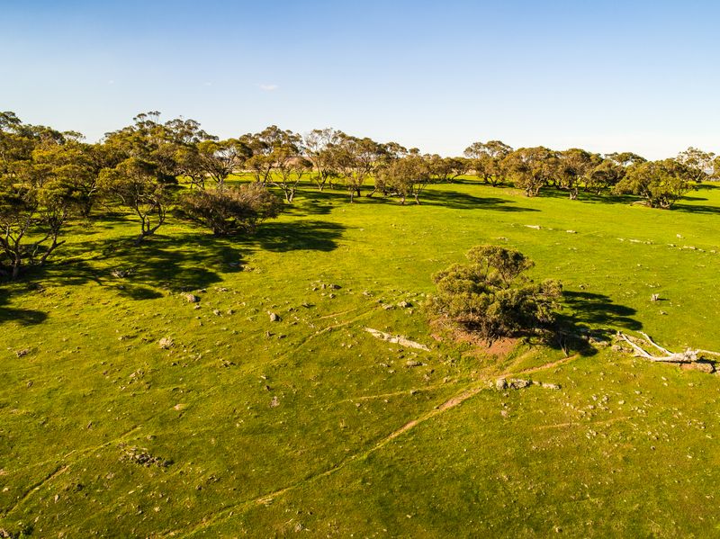 Lot 102 Back Callington Road, Mount Barker Springs, SA Land For Sale Residential Land Sold