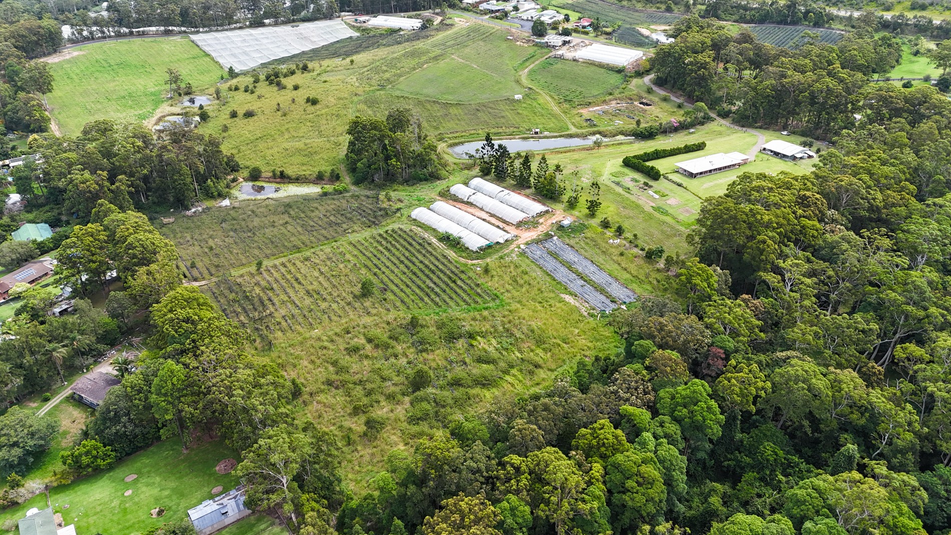 164 Newmans Road, Woolgoolga, NSW 2456