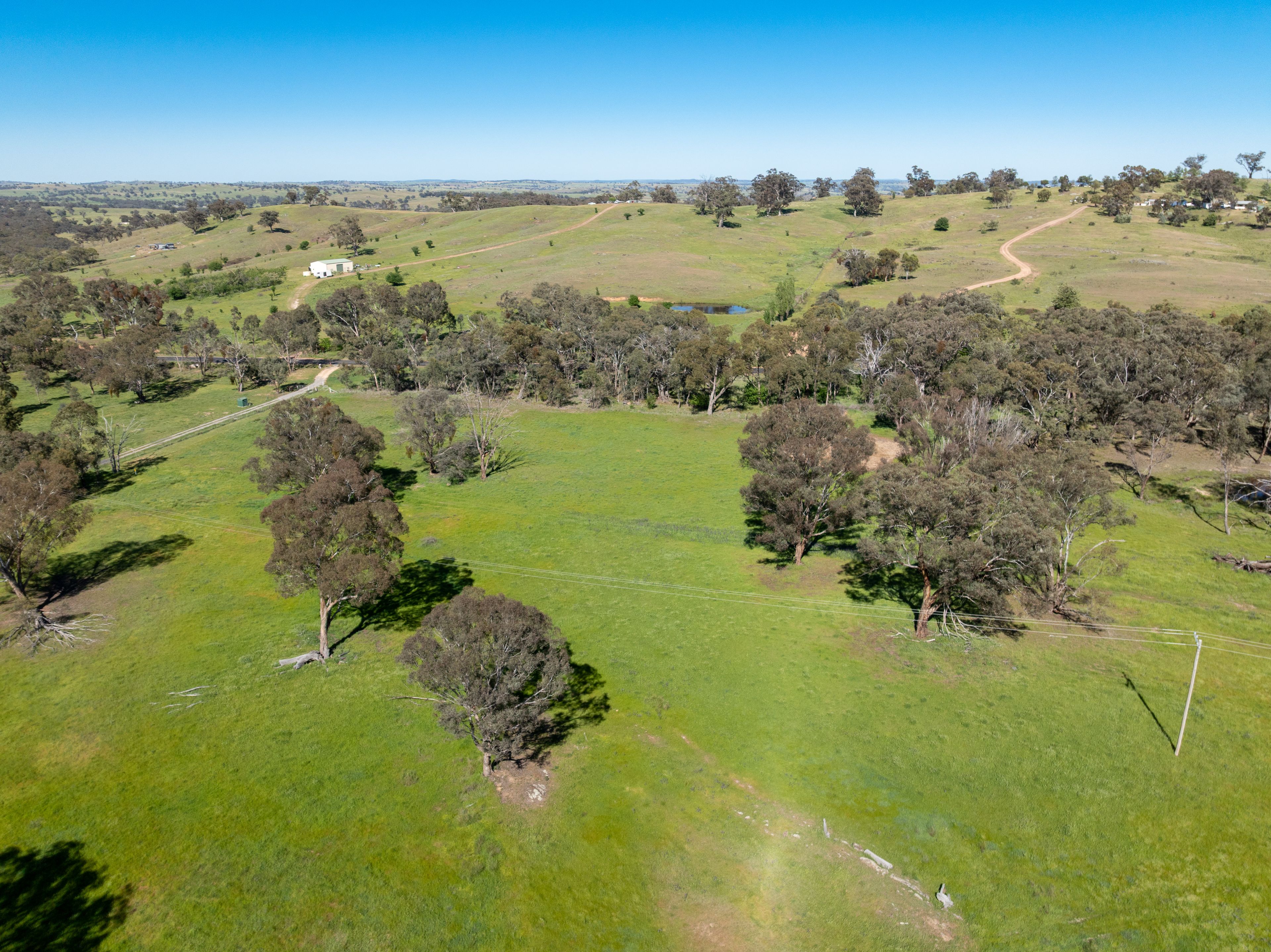 'Weemala' 5736 Burrendong Way — photo 4 of 17