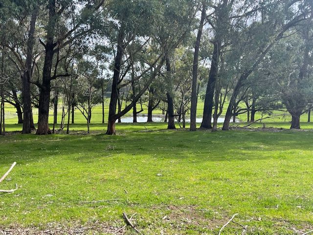 168 Scarp Road — photo 24 of 30