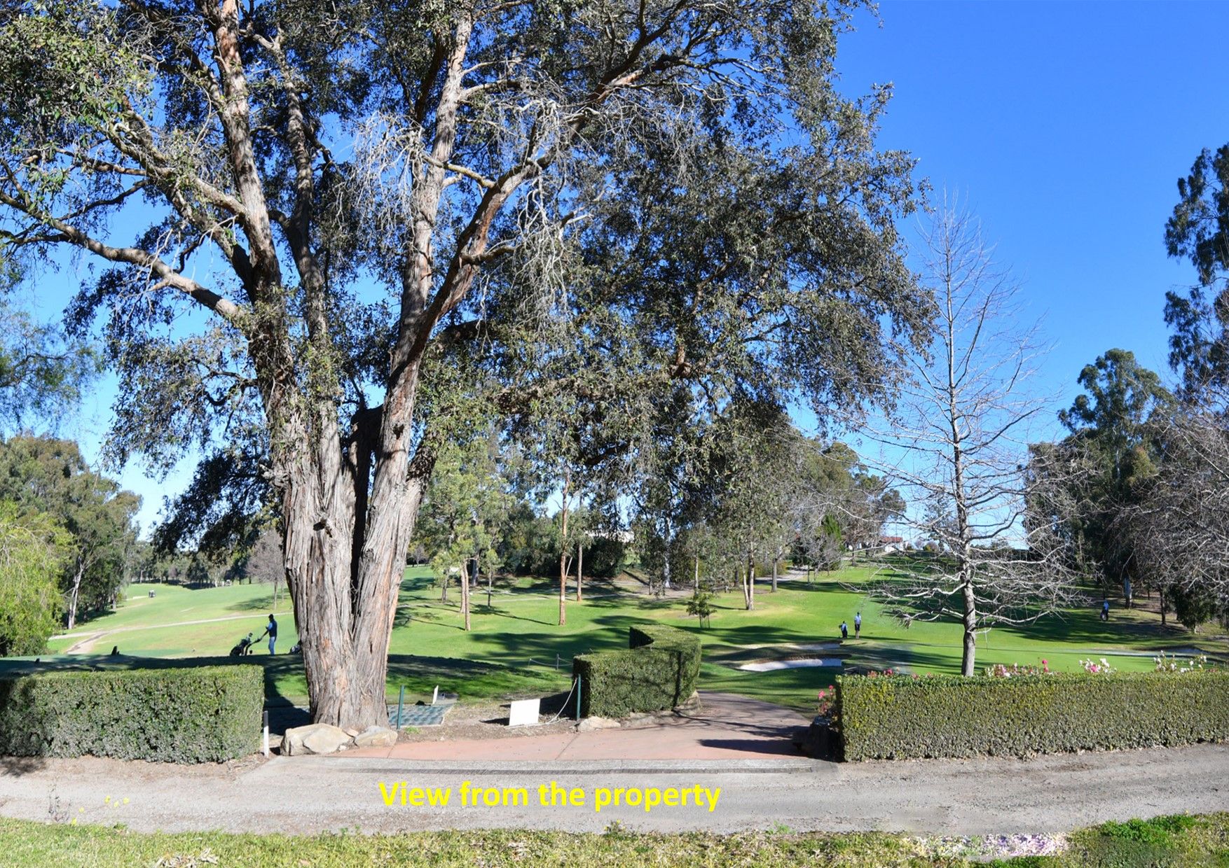 126 Bettington Road, Oatlands, NSW 2117