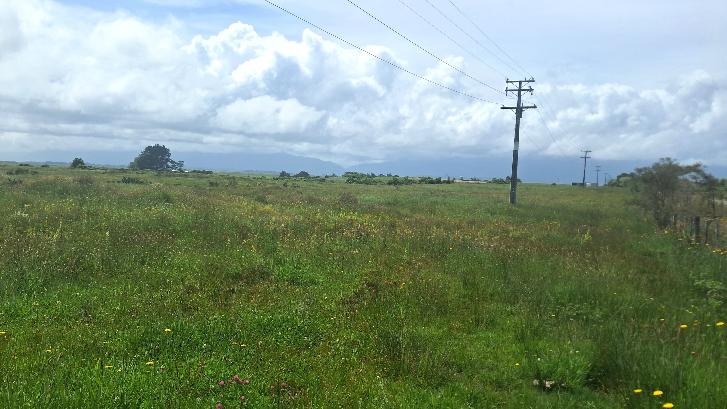 980 Wilsons Lead Road, Cape Foulwind, Buller District