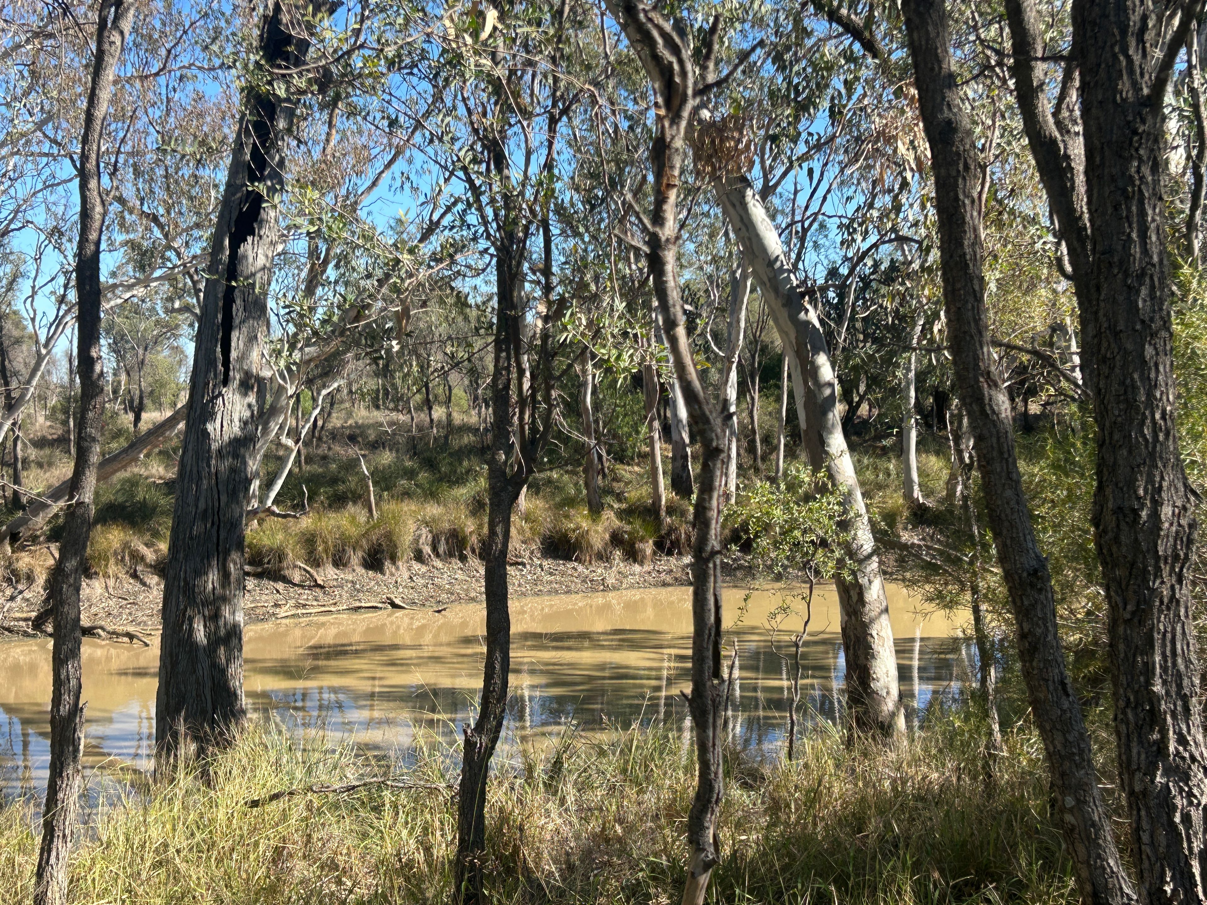 3770 Condamine Meandarra Road — photo 15 of 24