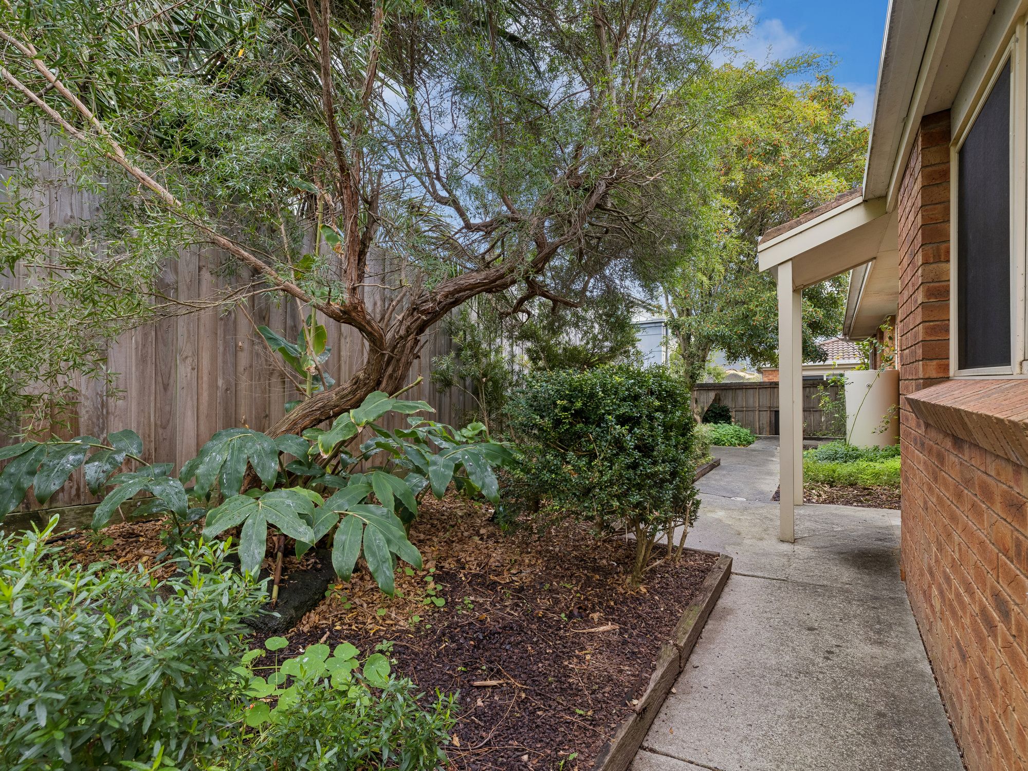 2/221 Graham Street — photo 11 of 14