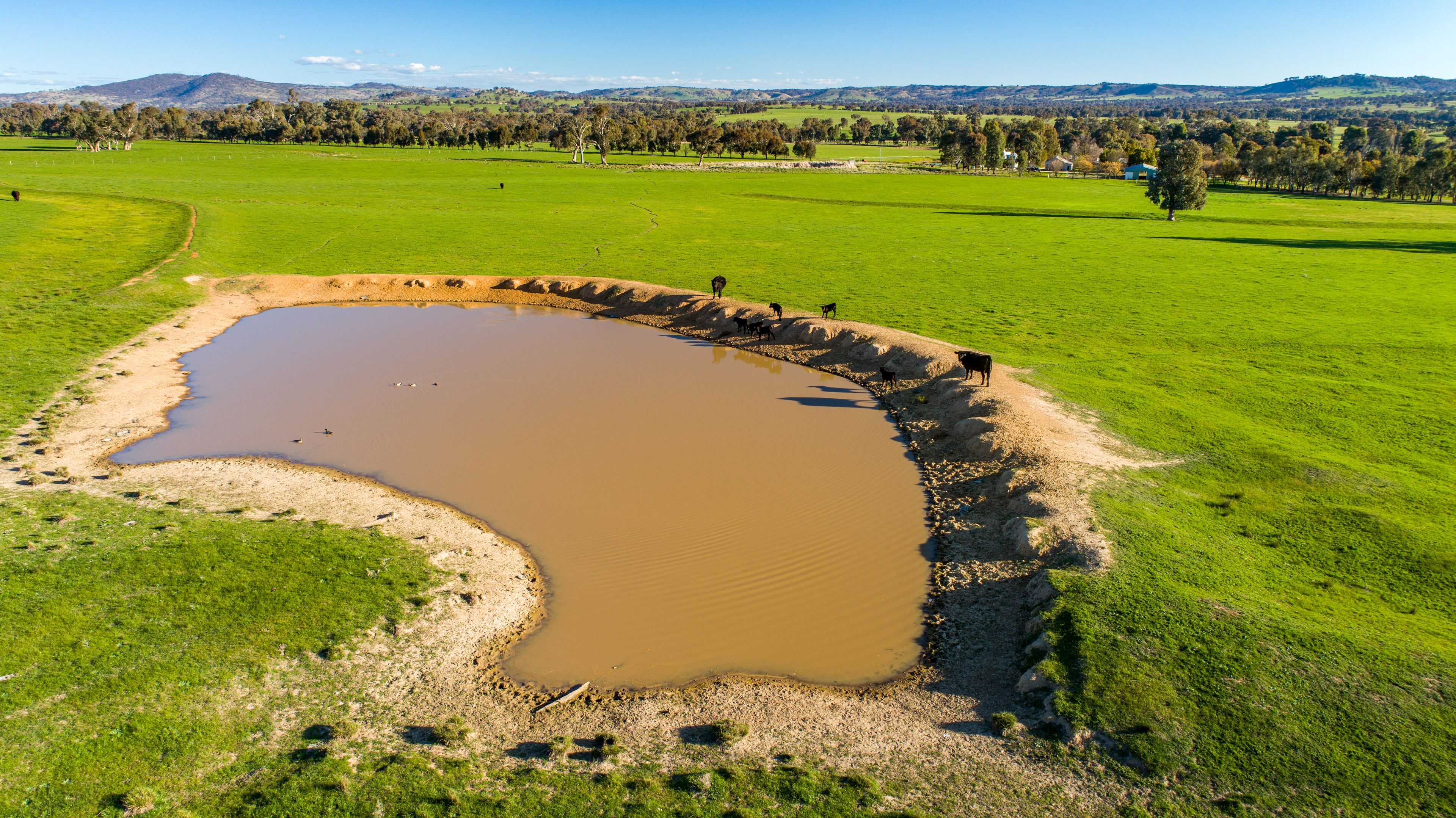 Wagga Wagga, NSW 2650
