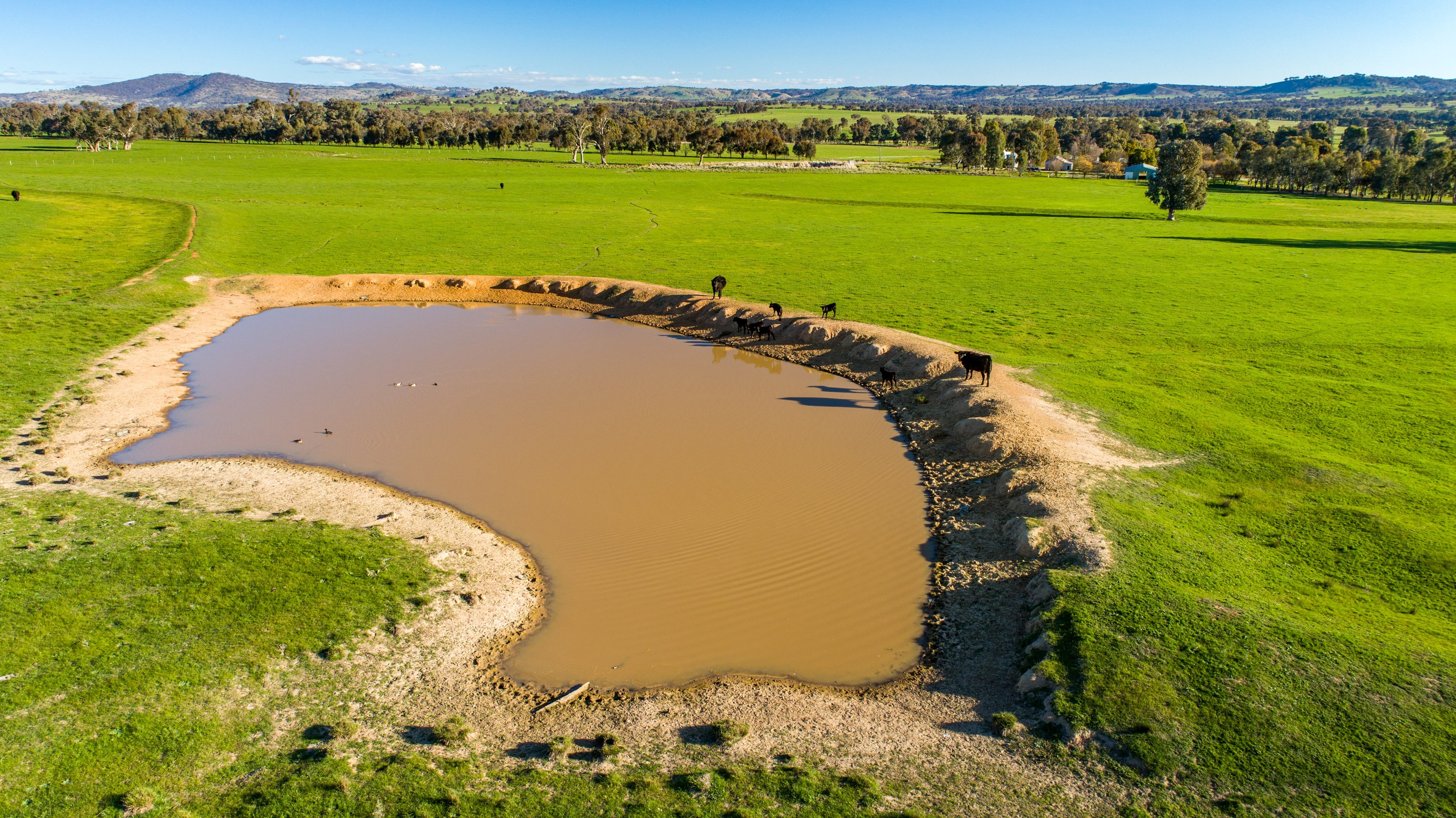 Wagga Wagga, NSW 2650