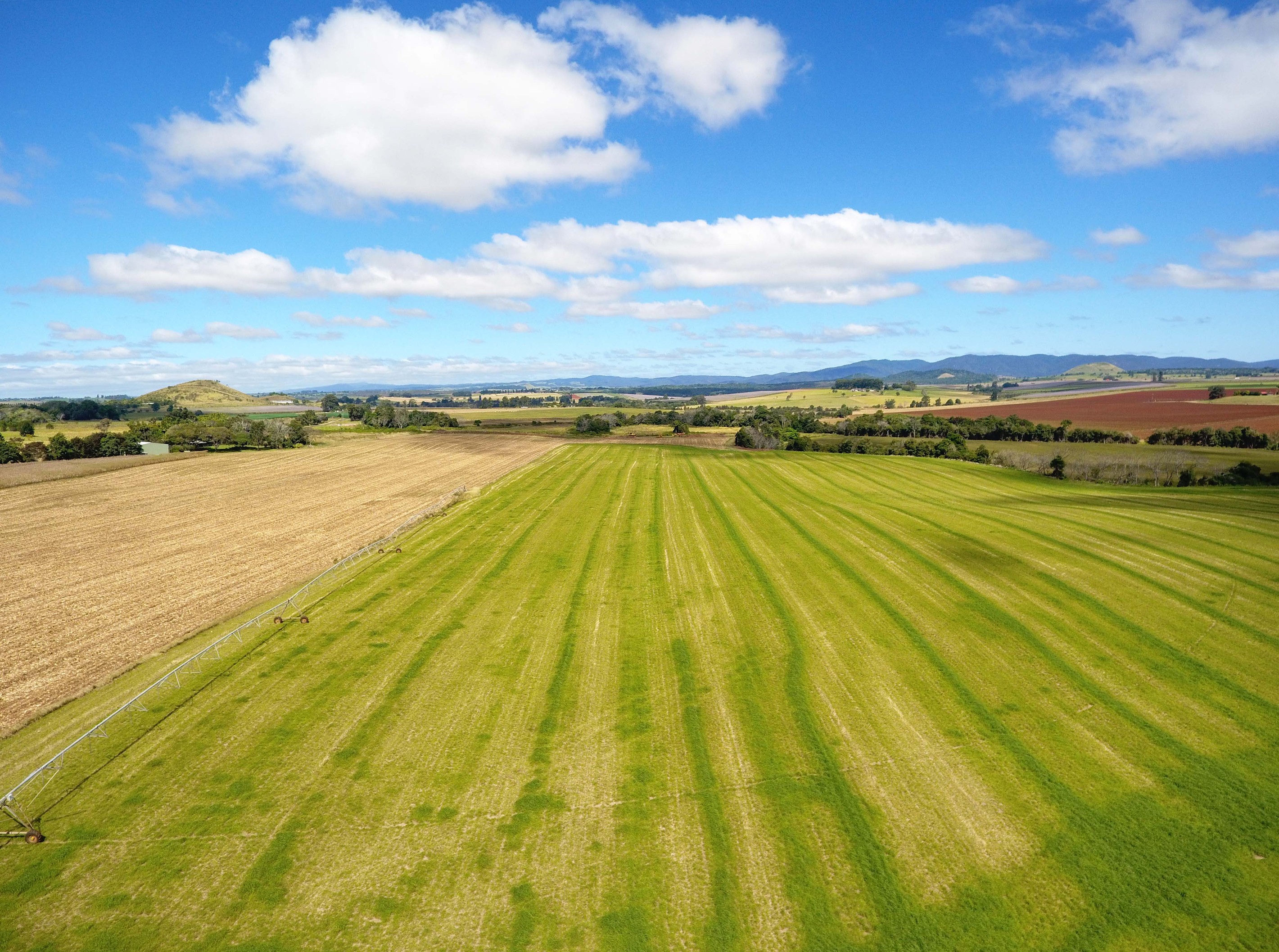 4749 Gillies Range Road, East Barron, QLD 4883