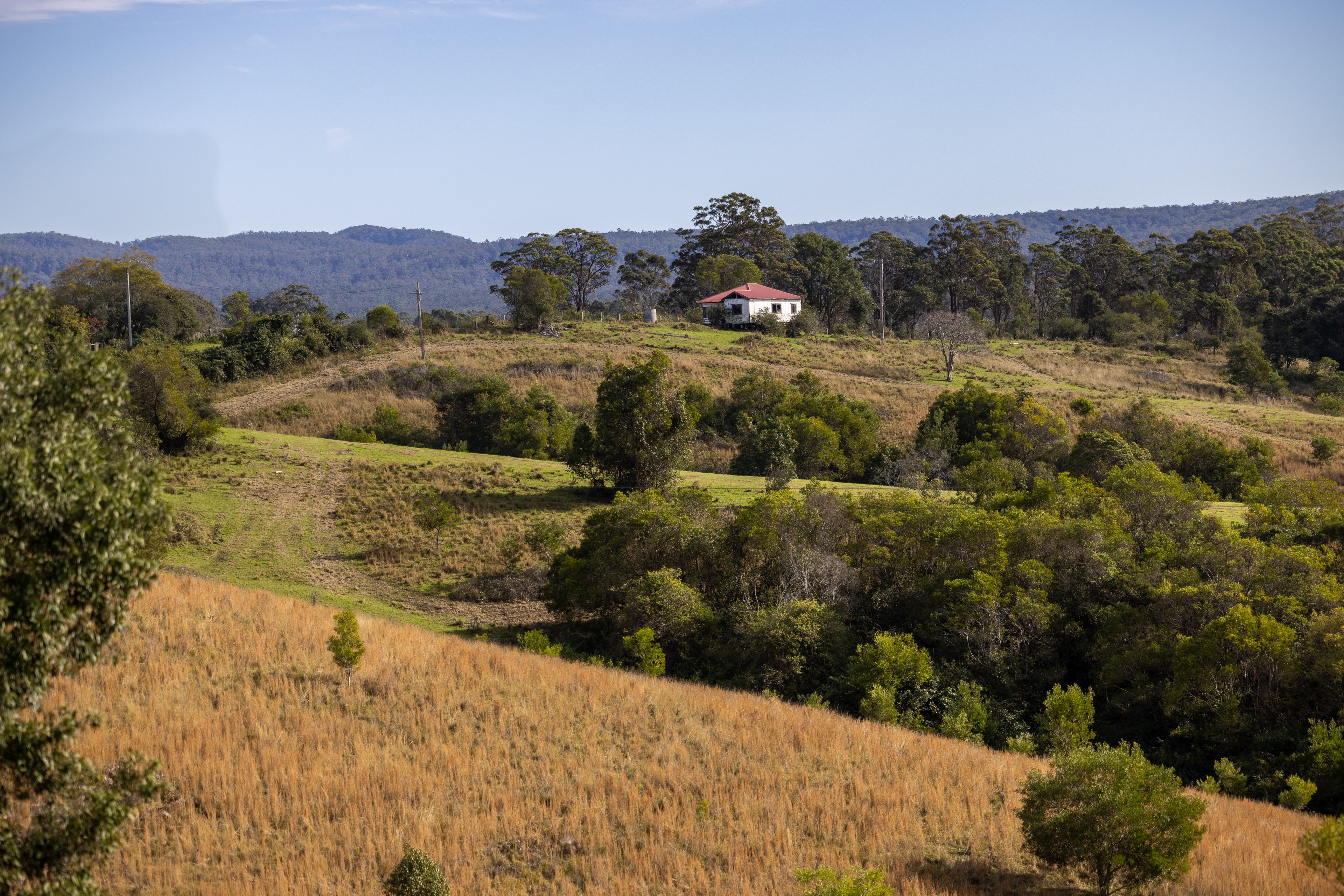 229 Wattley Hill Road — photo 8 of 17
