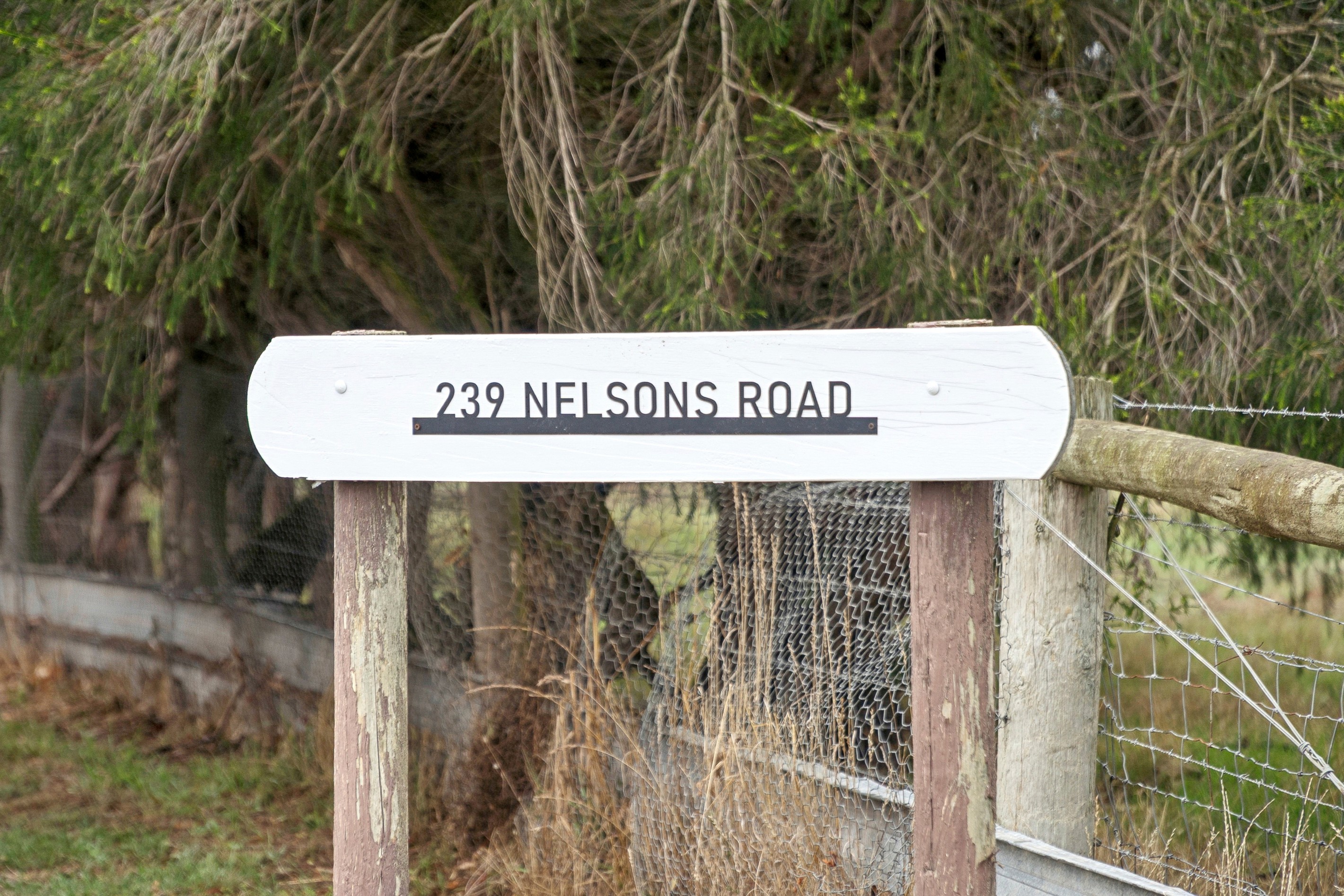 239 Nelsons Road, Elingamite North, VIC 3266