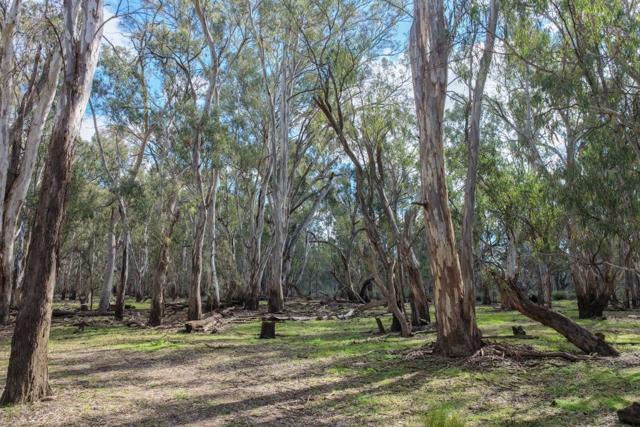 Lot 16 Hay St (otherwise known as Nomore Rd) — photo 10 of 11