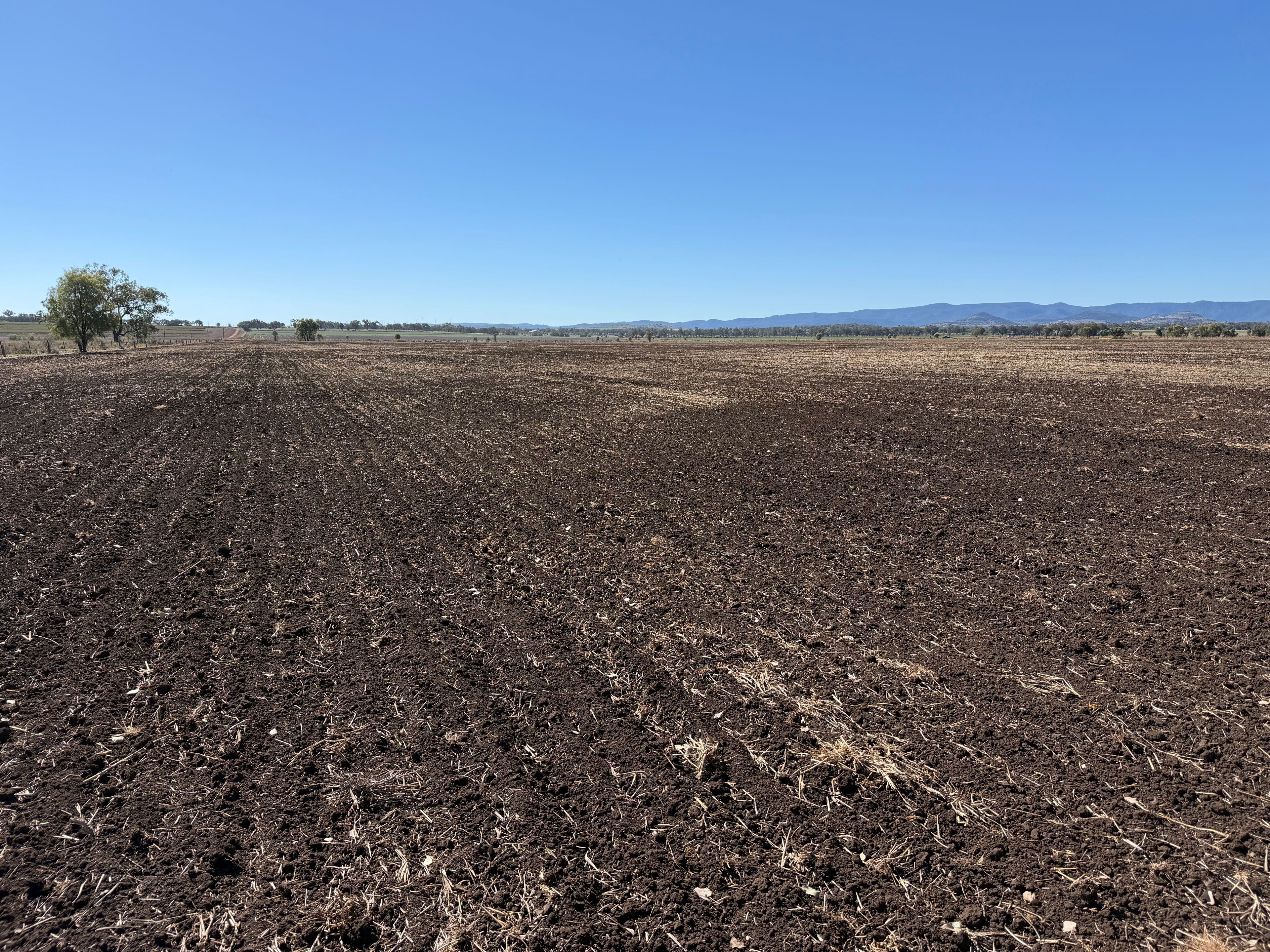 Lot 1 Bunya Highway — photo 16 of 17