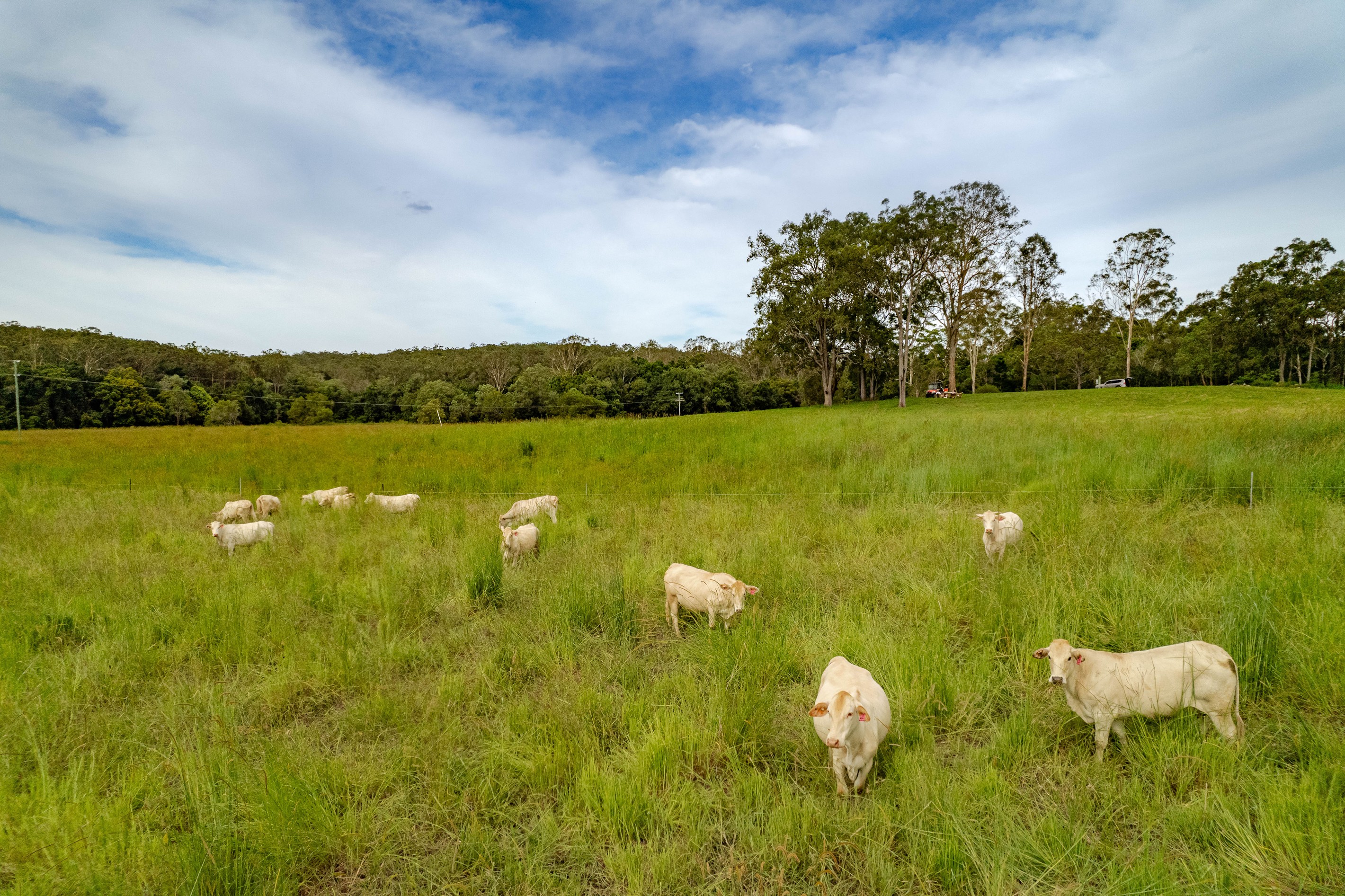 Belli Park, QLD 4562