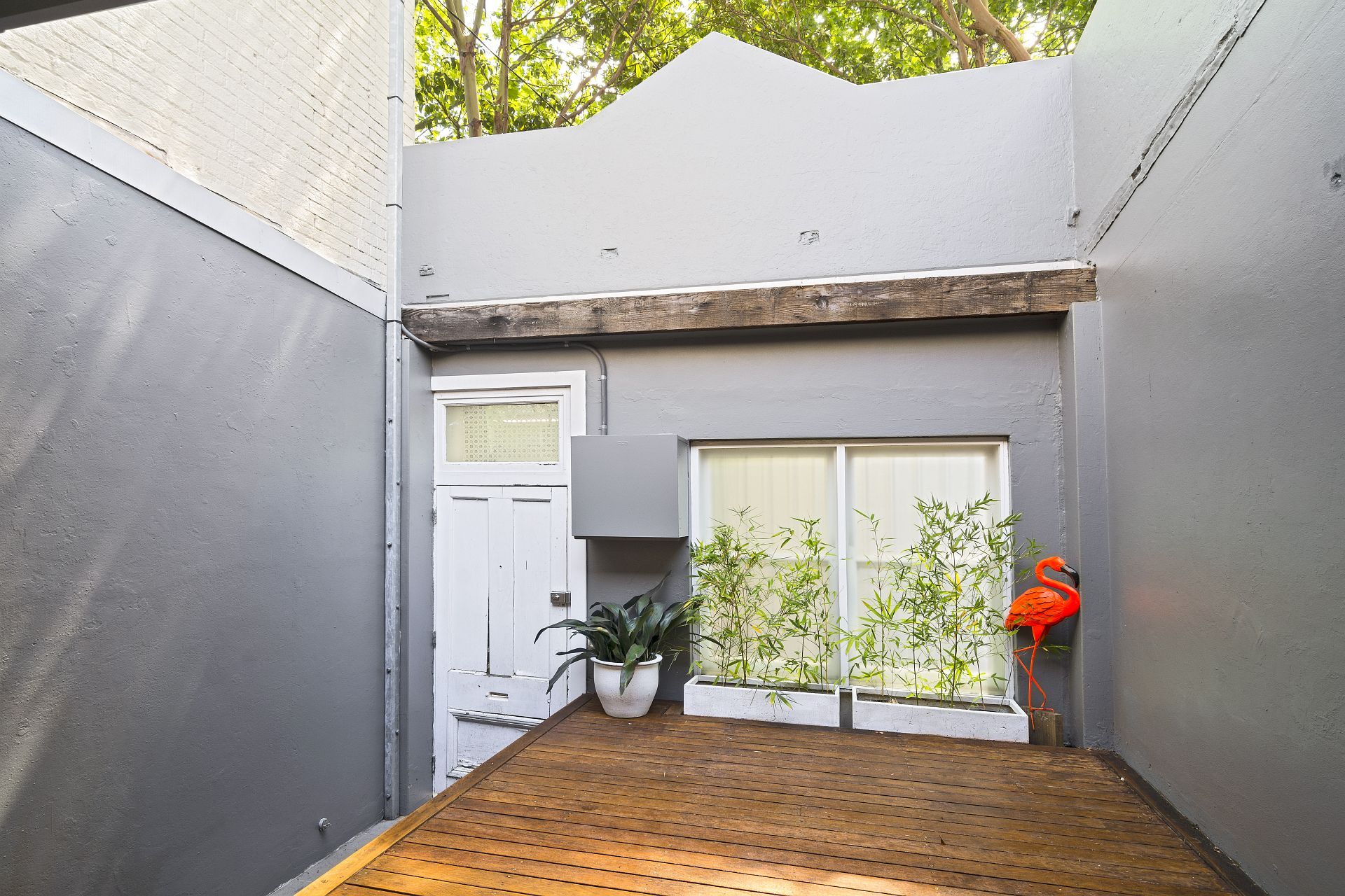 346 Riley Street, Surry Hills, NSW 2010