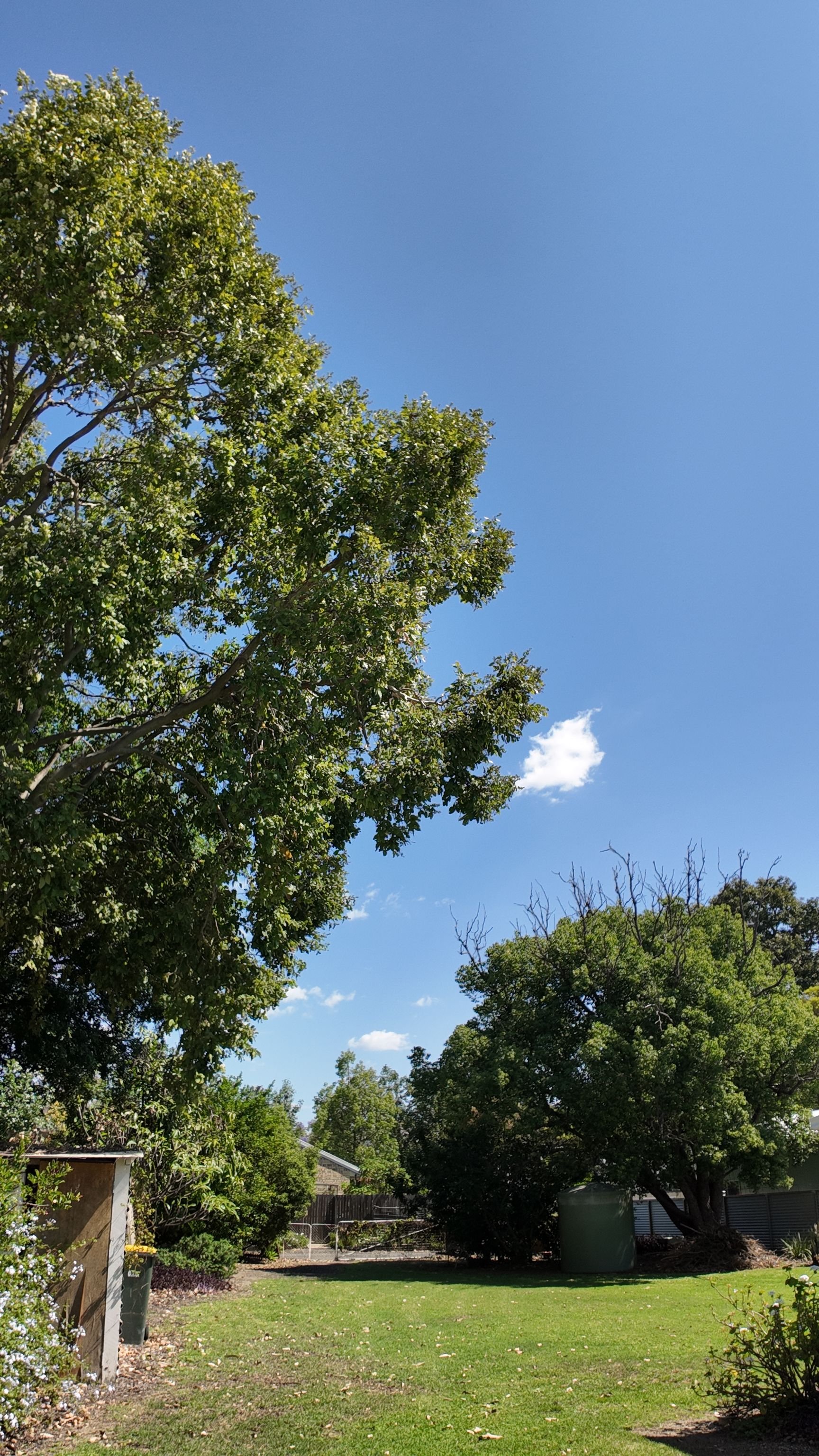 98 Callandoon Street, Goondiwindi, QLD 4390