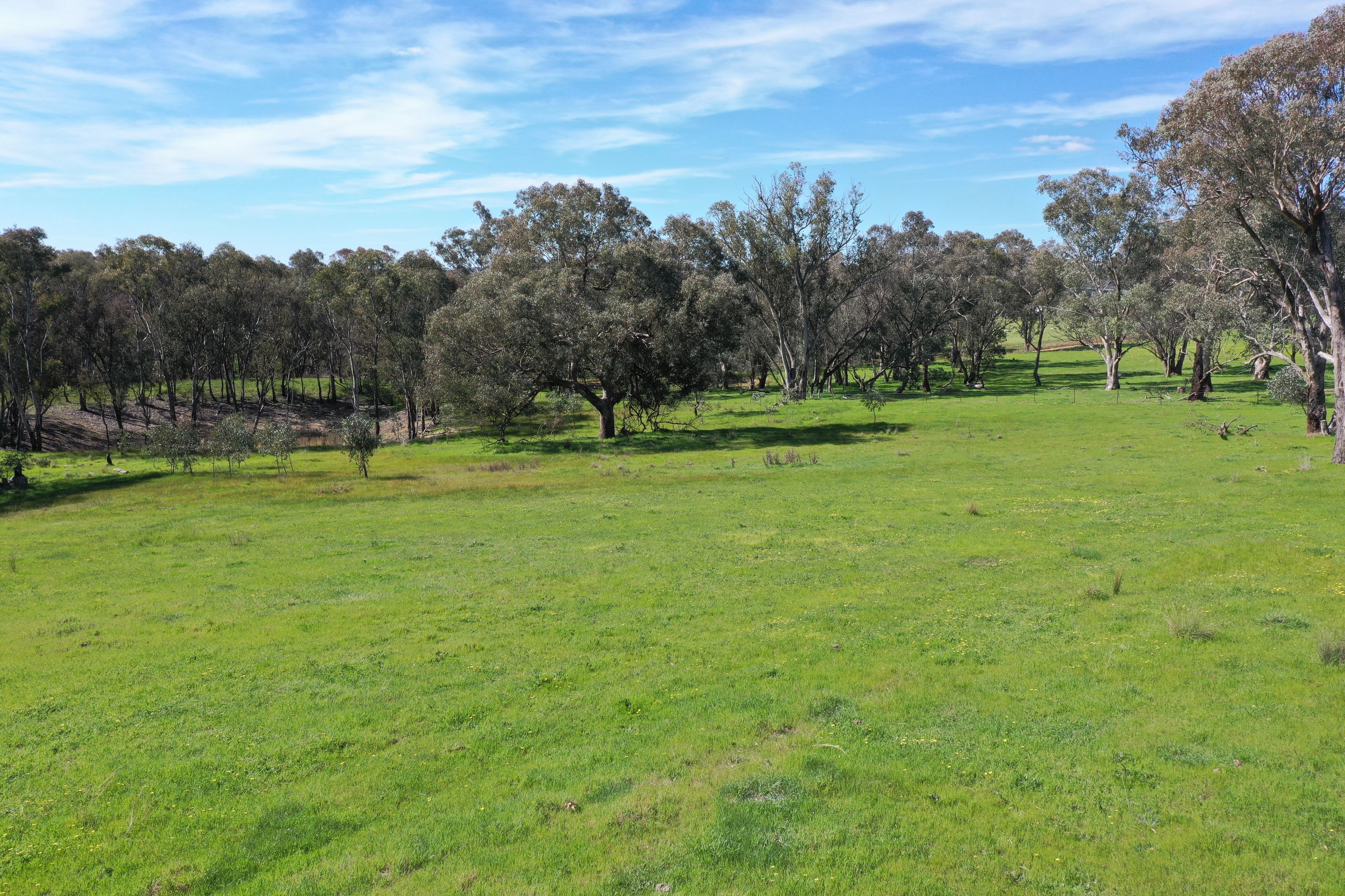 Lot 1992 Wickham/James Lane — photo 3 of 5