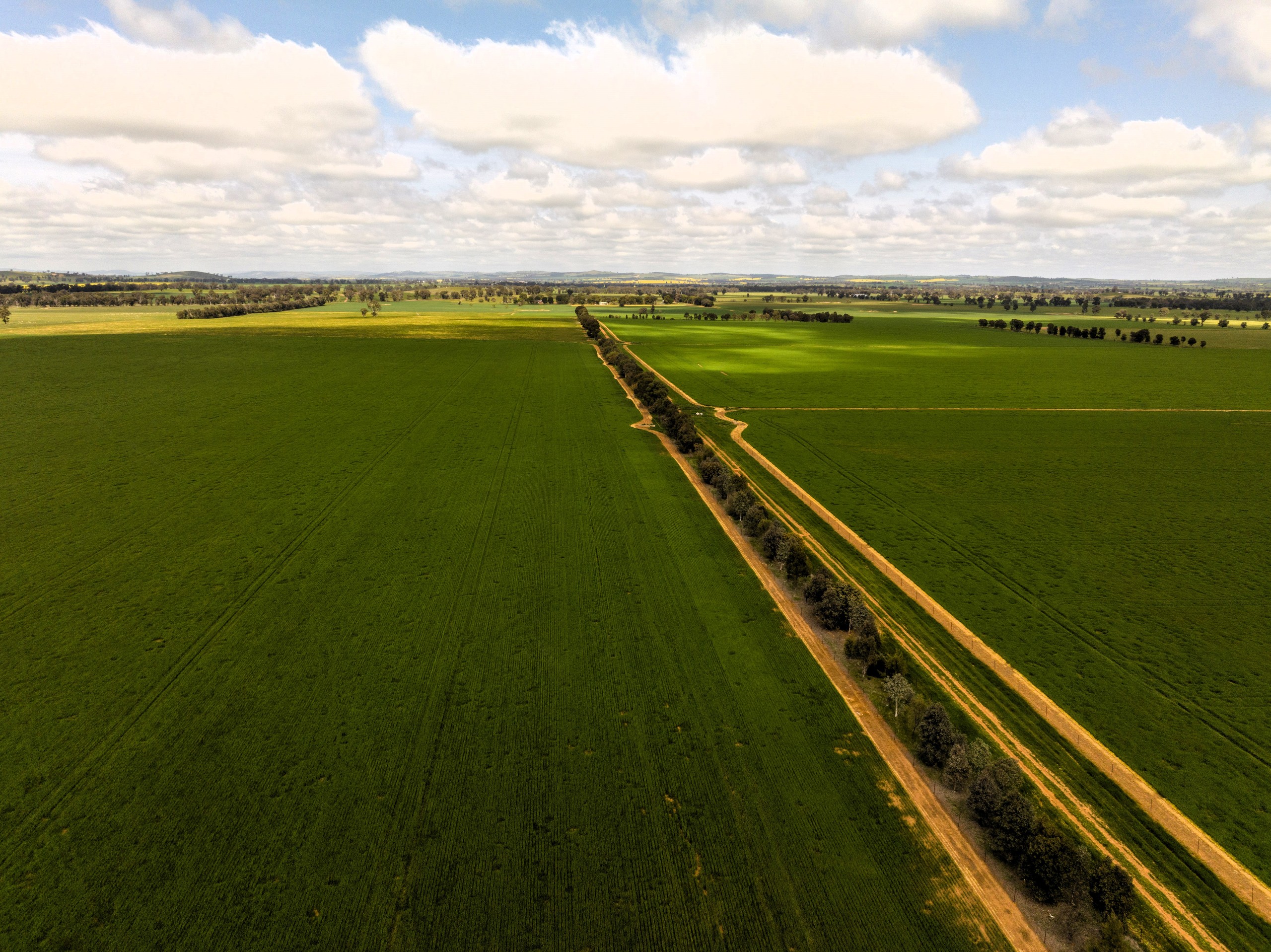 277 Kiaree Lane, Bethungra, NSW 2590