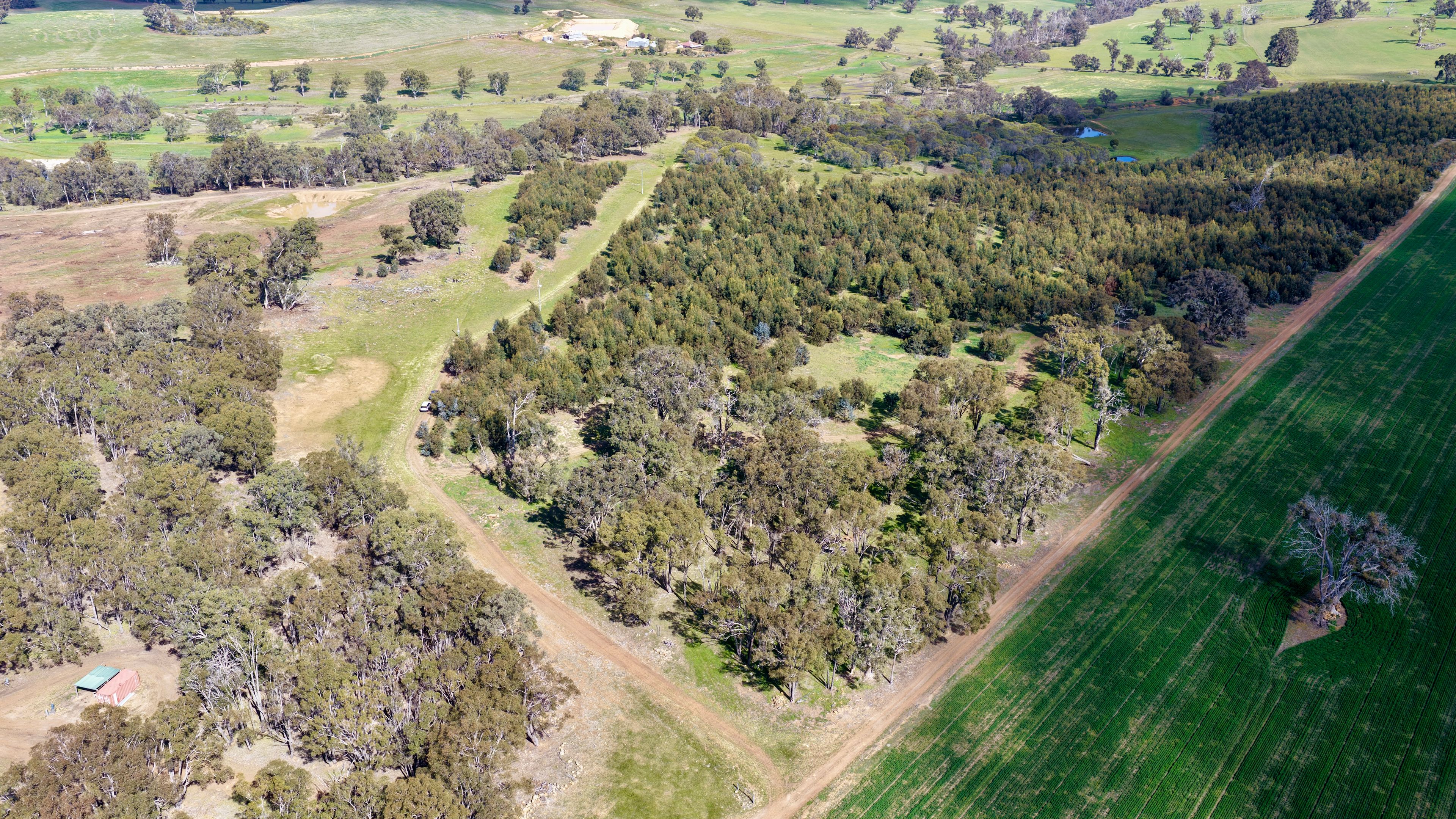Lot 100 Area Road — photo 6 of 17