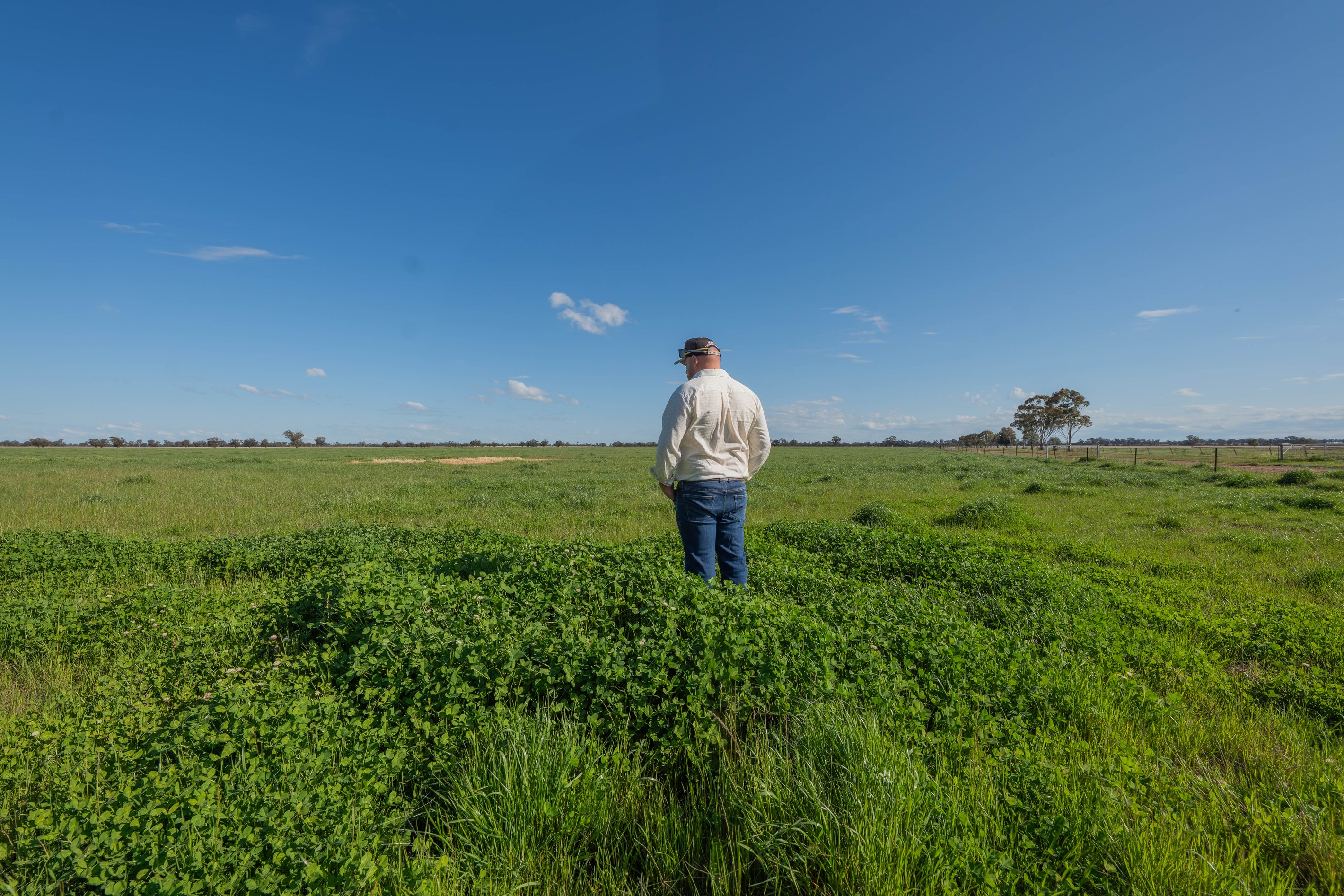 536 Wyrra Lane, West Wyalong, NSW 2671